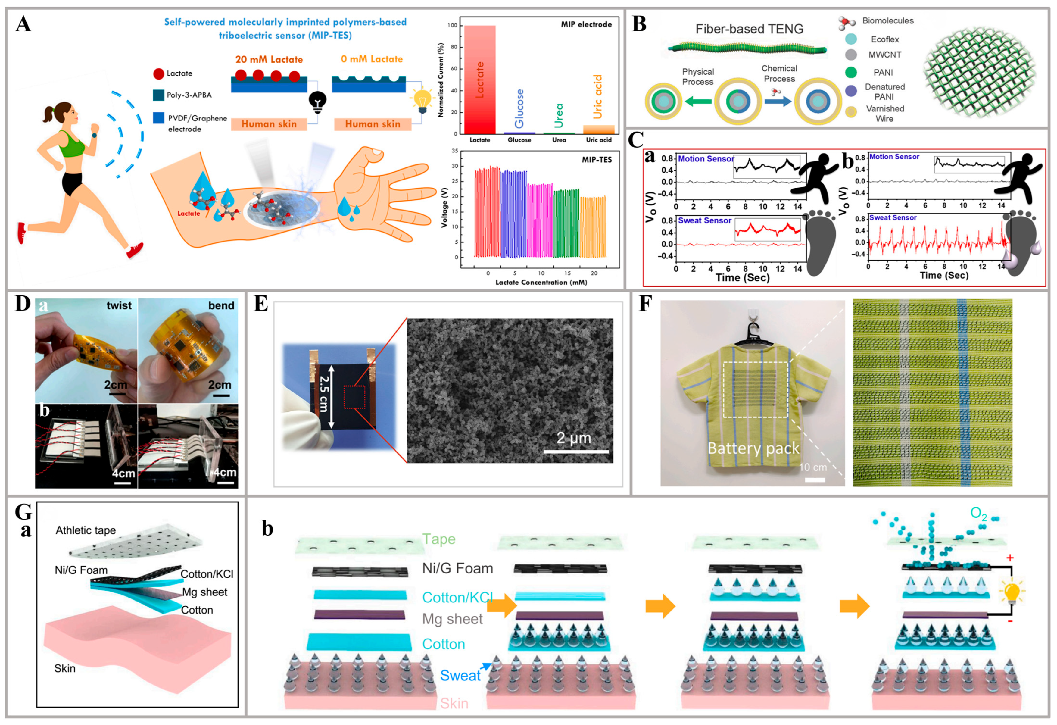 Nanomaterials 14 00857 g007