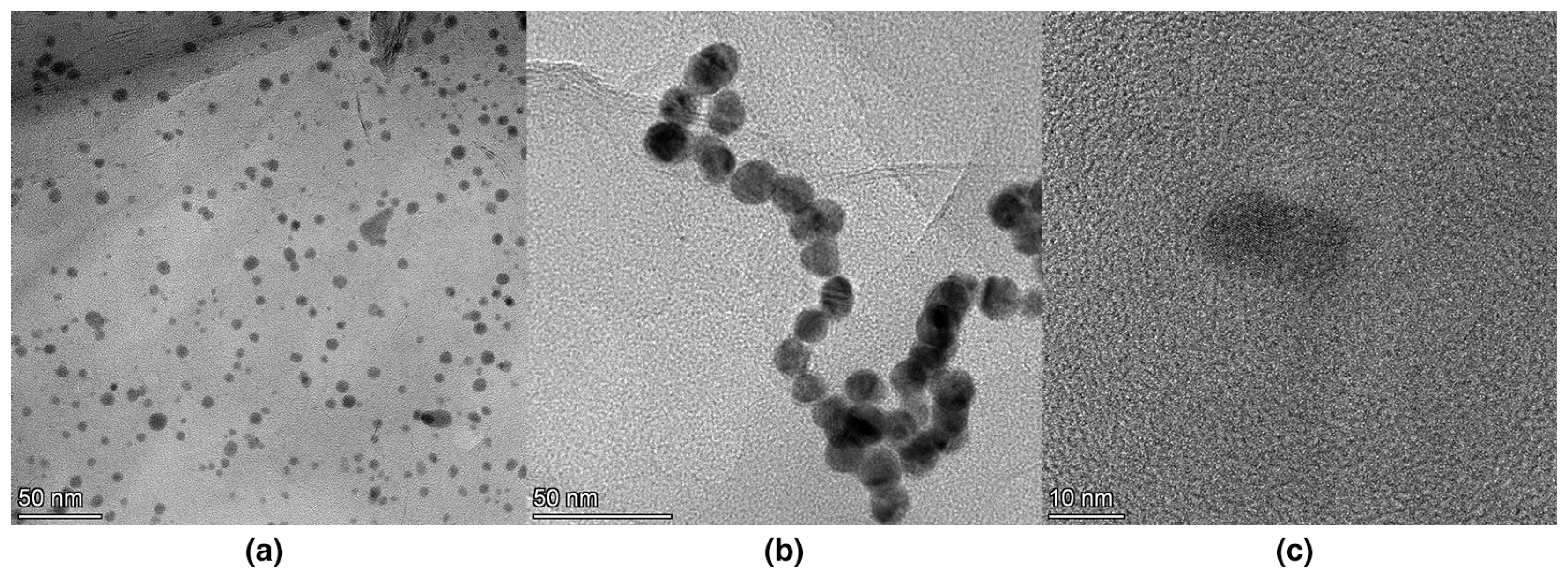 Nanomaterials 14 00859 g001