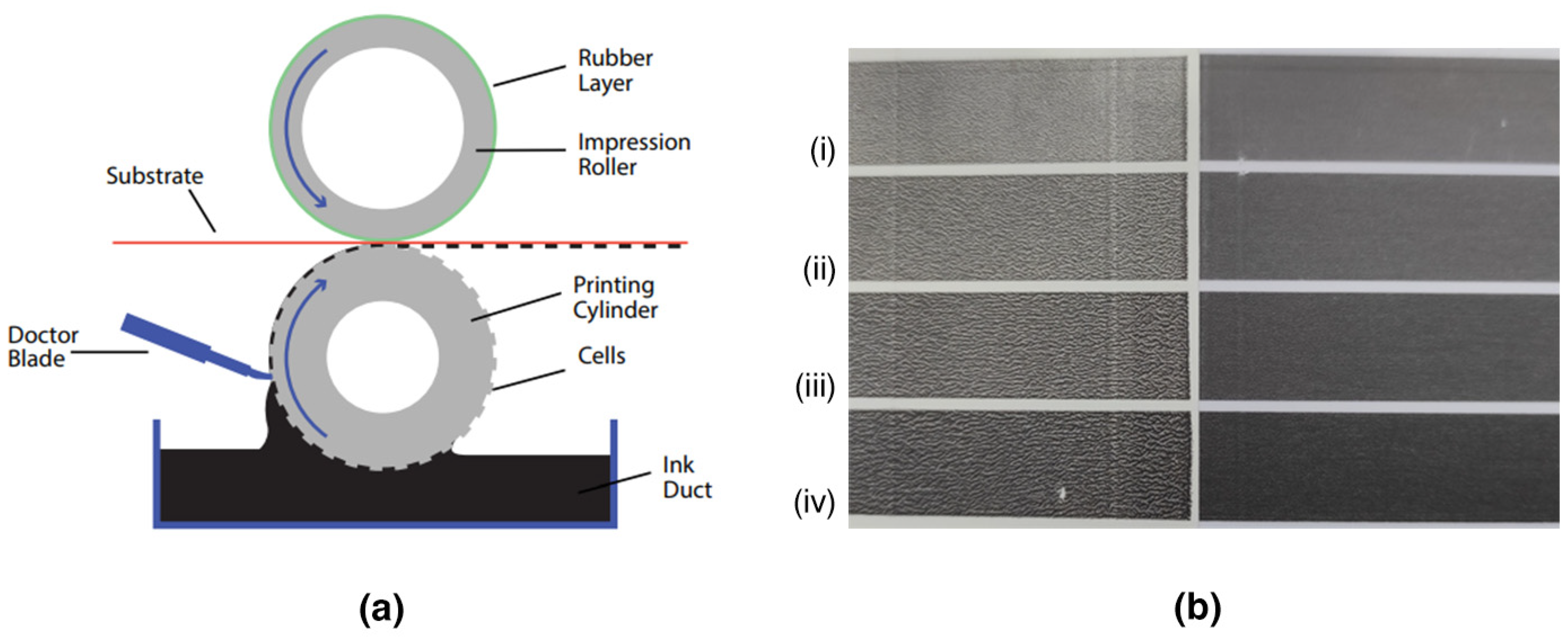 Nanomaterials 14 00859 g010