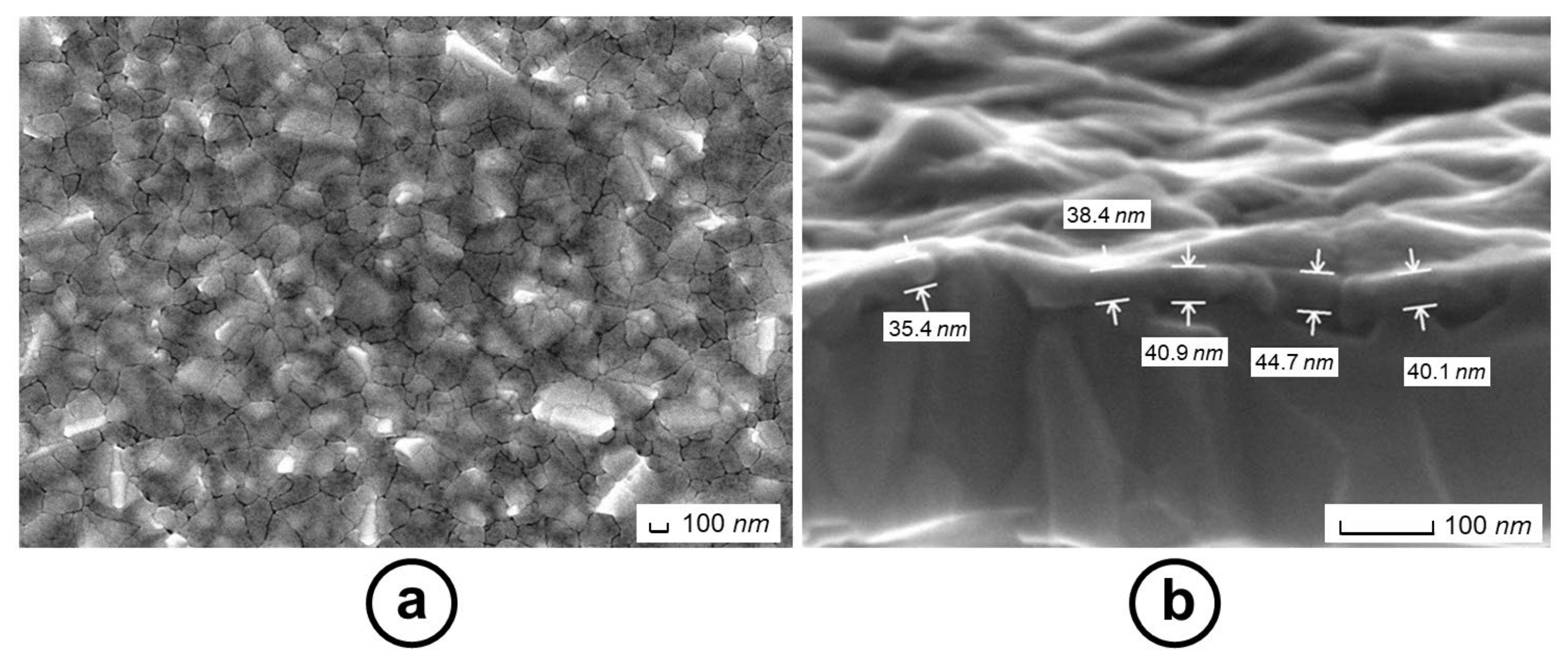 Nanomaterials 14 00860 g003
