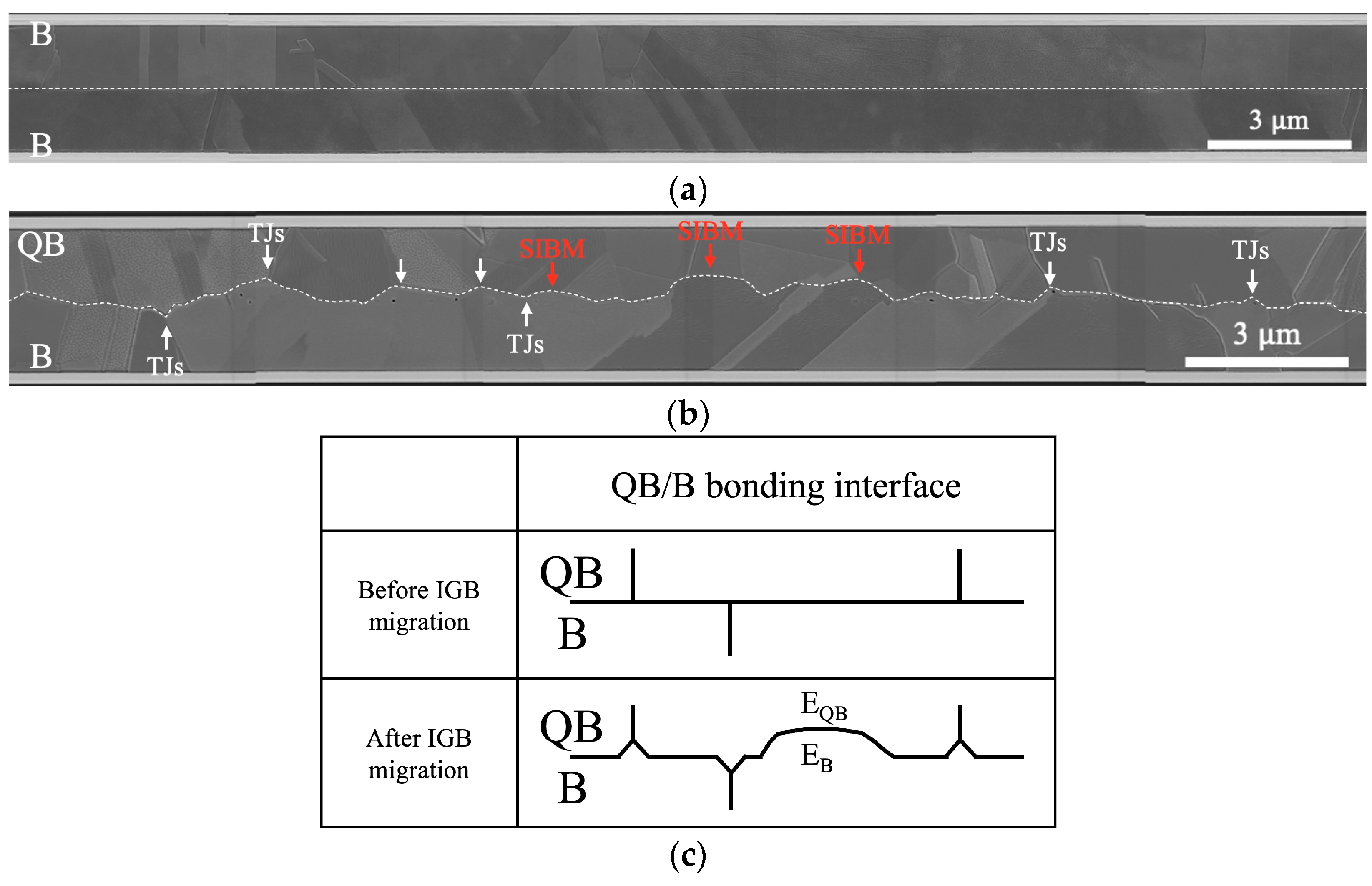 Nanomaterials 14 00861 g005