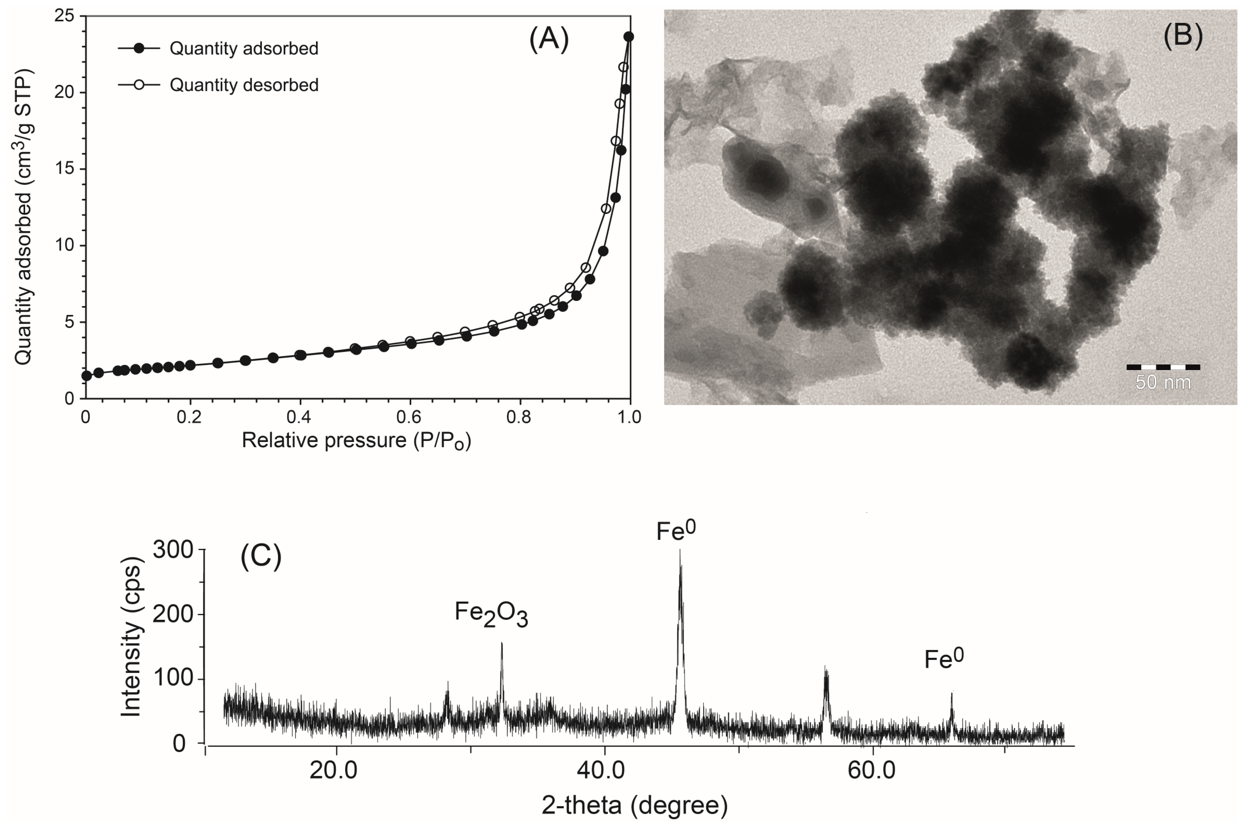 Nanomaterials 14 00862 g001
