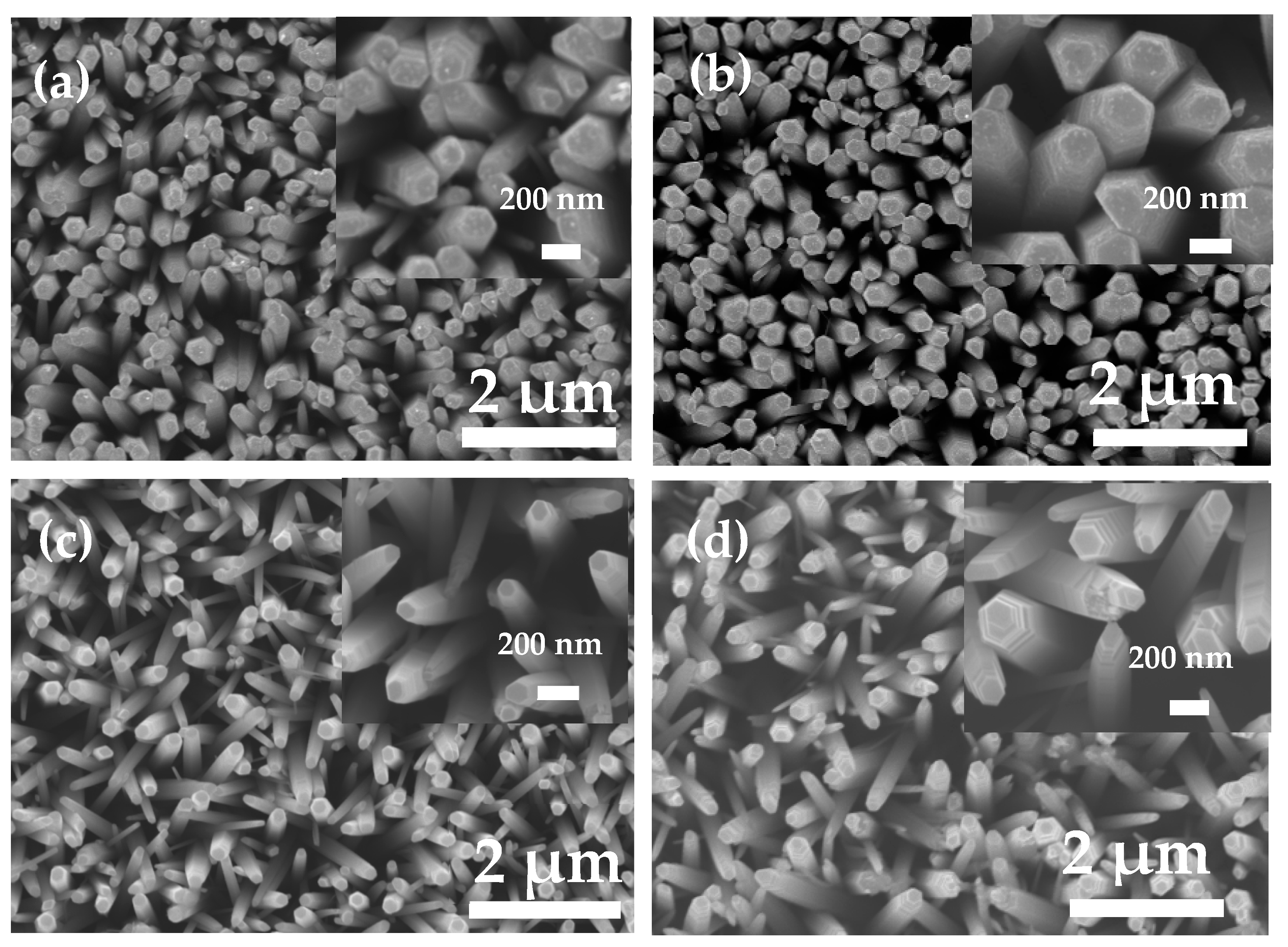 Nanomaterials 14 00863 g002