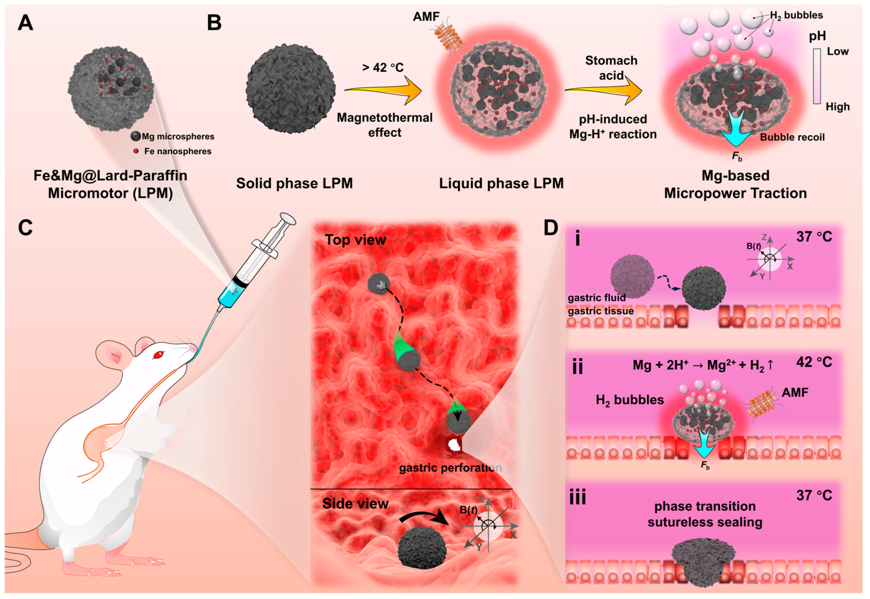 Nanomaterials 14 00865 g001