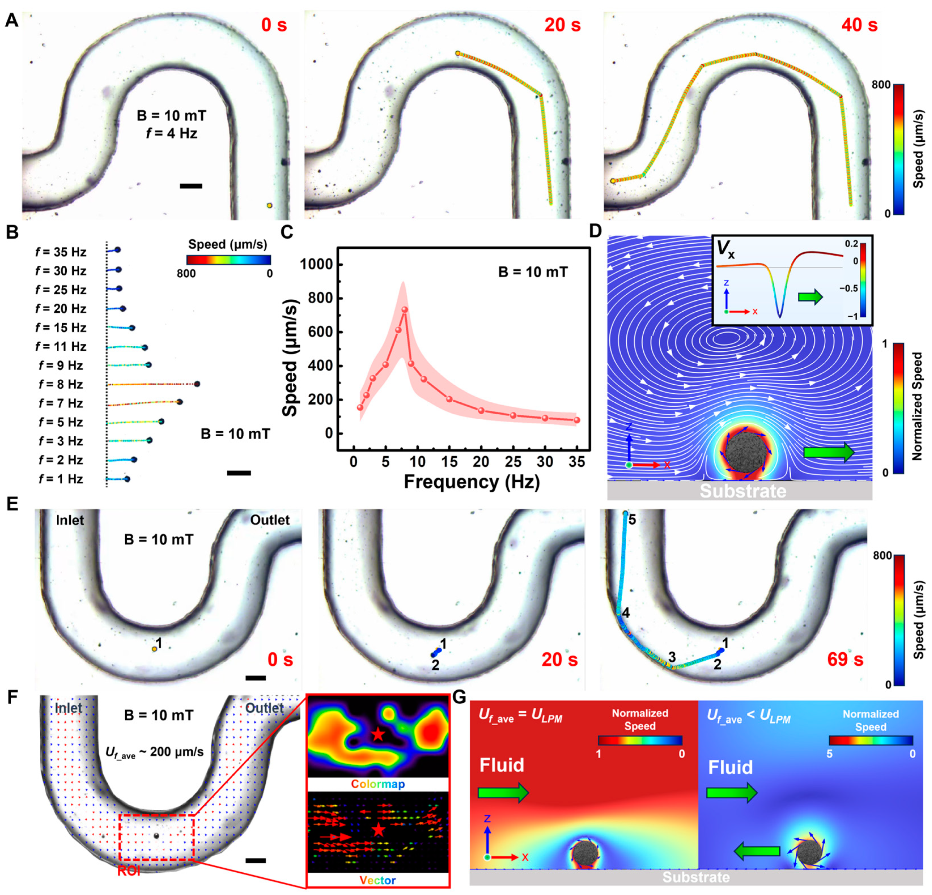 Nanomaterials 14 00865 g003