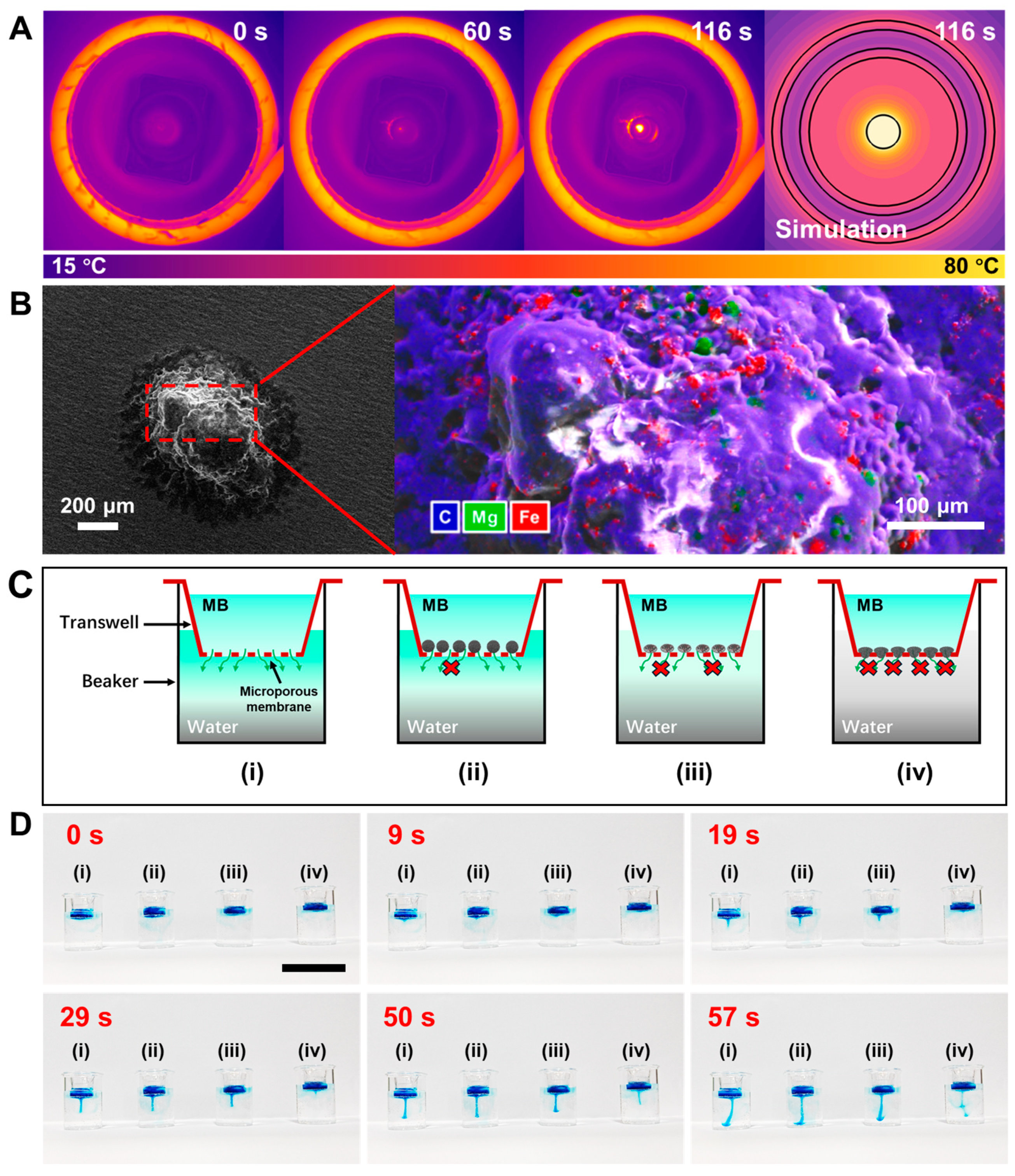 Nanomaterials 14 00865 g004