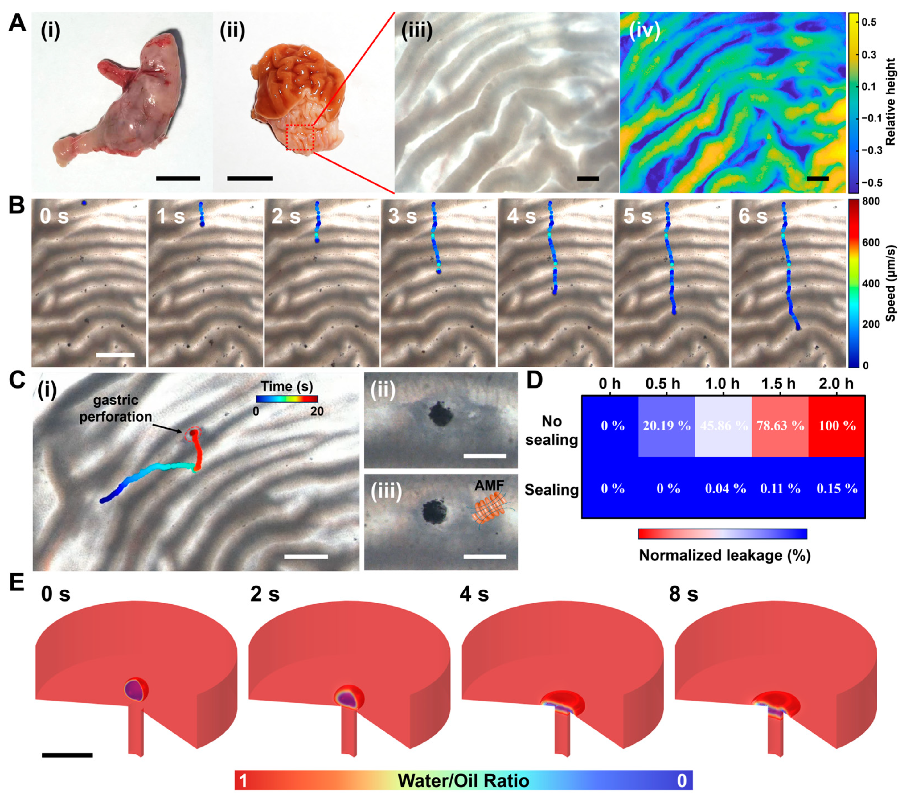 Nanomaterials 14 00865 g005