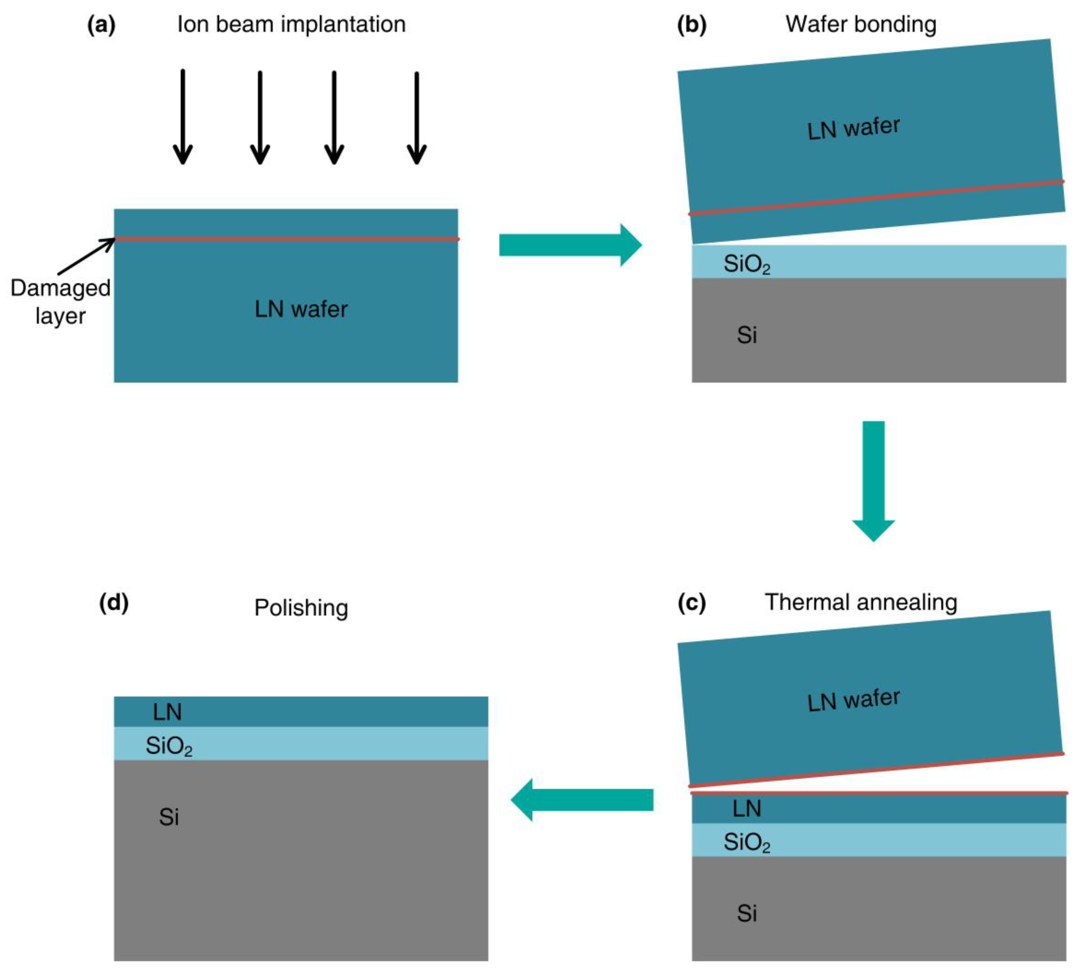 Nanomaterials 14 00867 g002