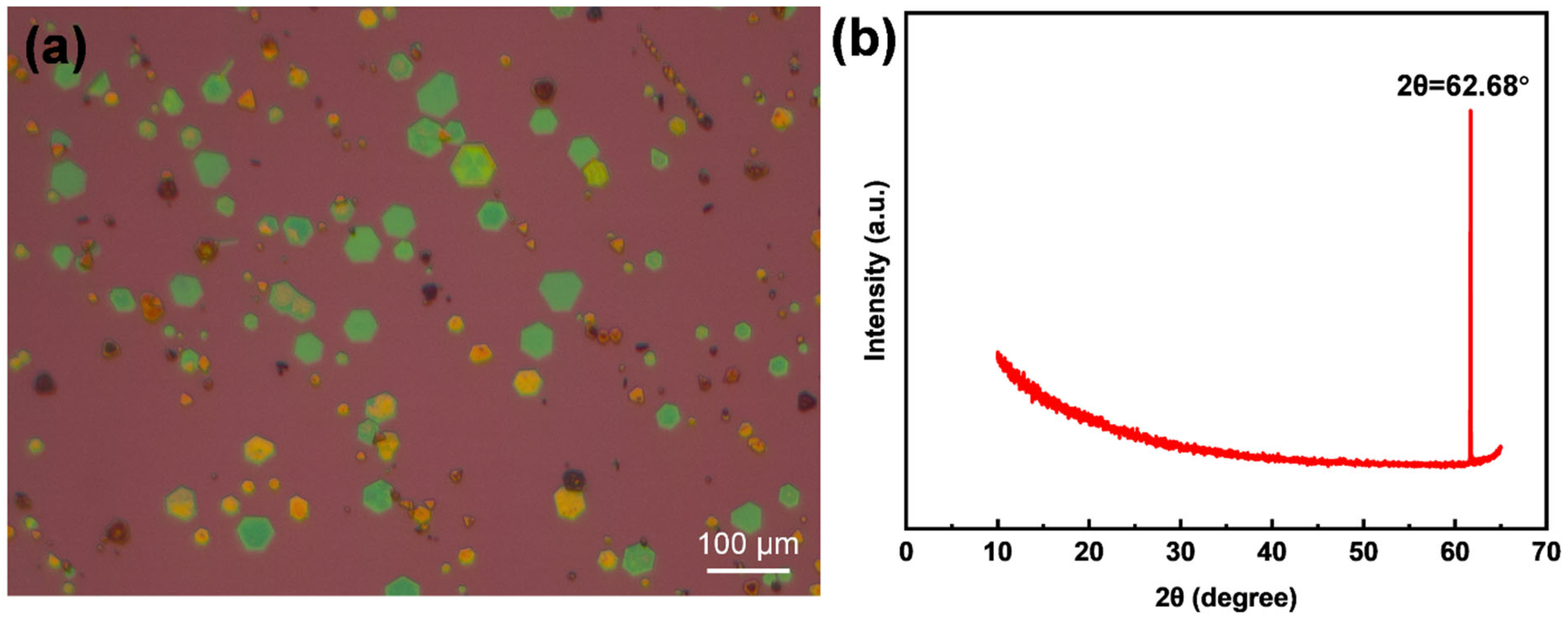 Nanomaterials 14 00868 g004