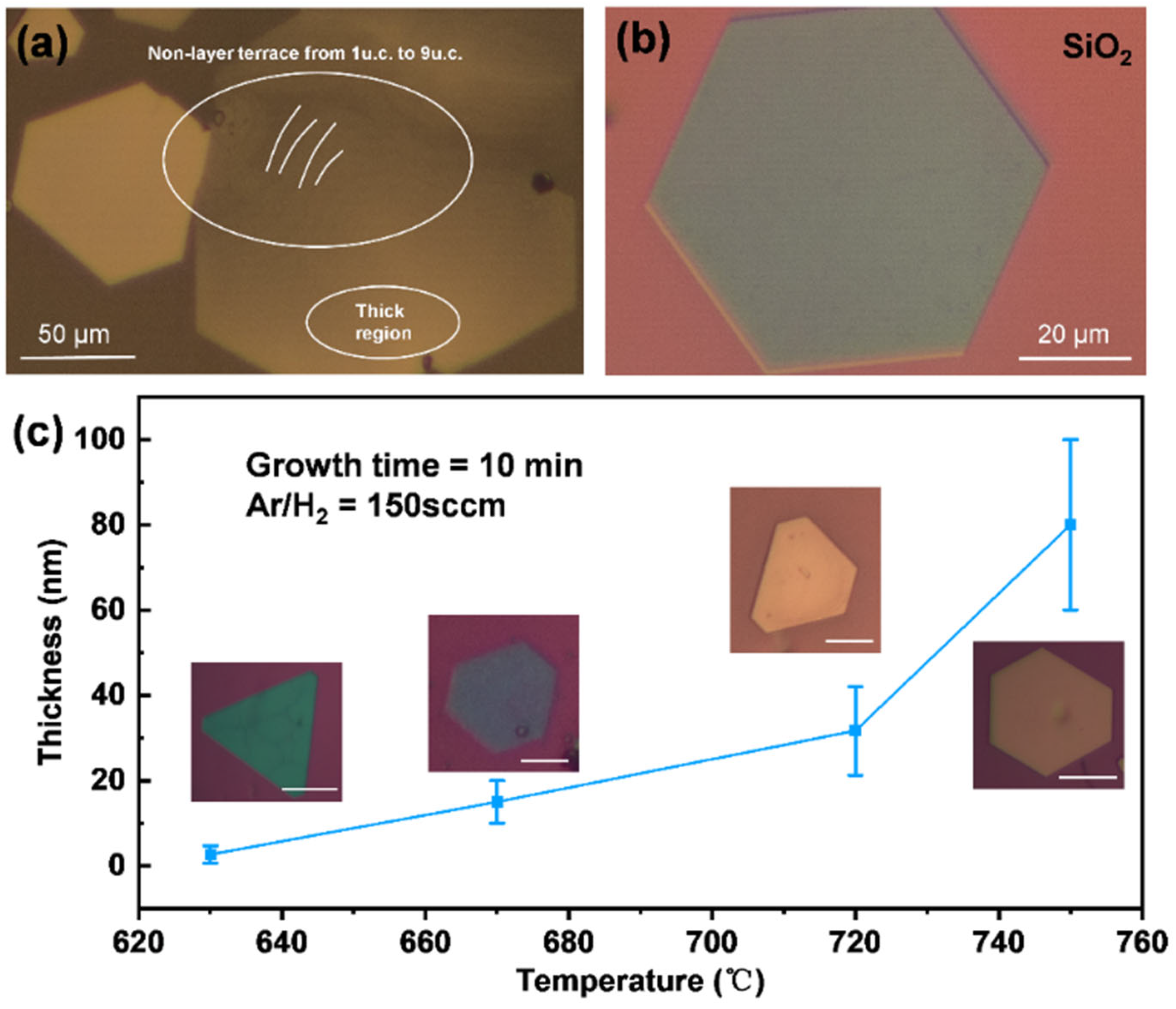 Nanomaterials 14 00868 g005