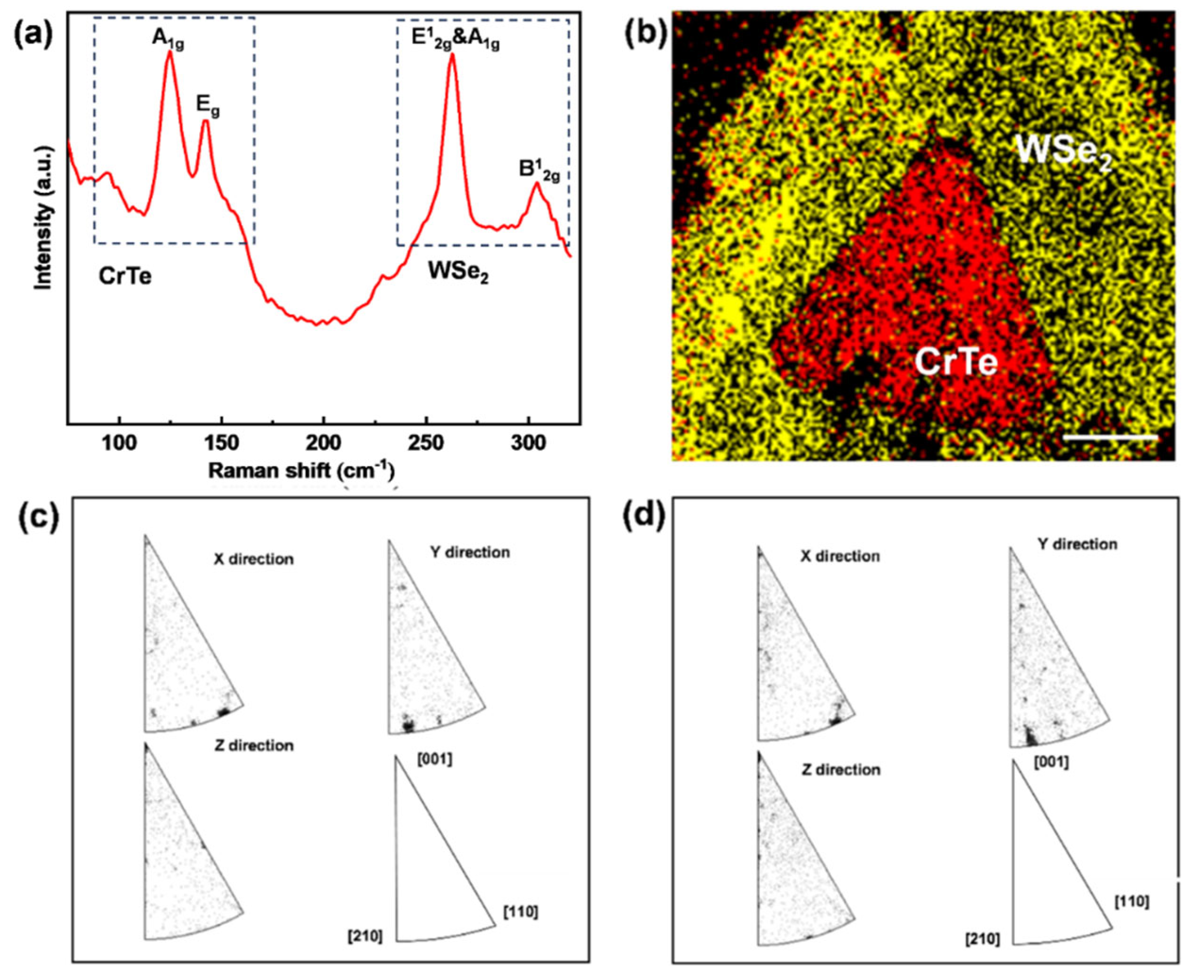 Nanomaterials 14 00868 g008