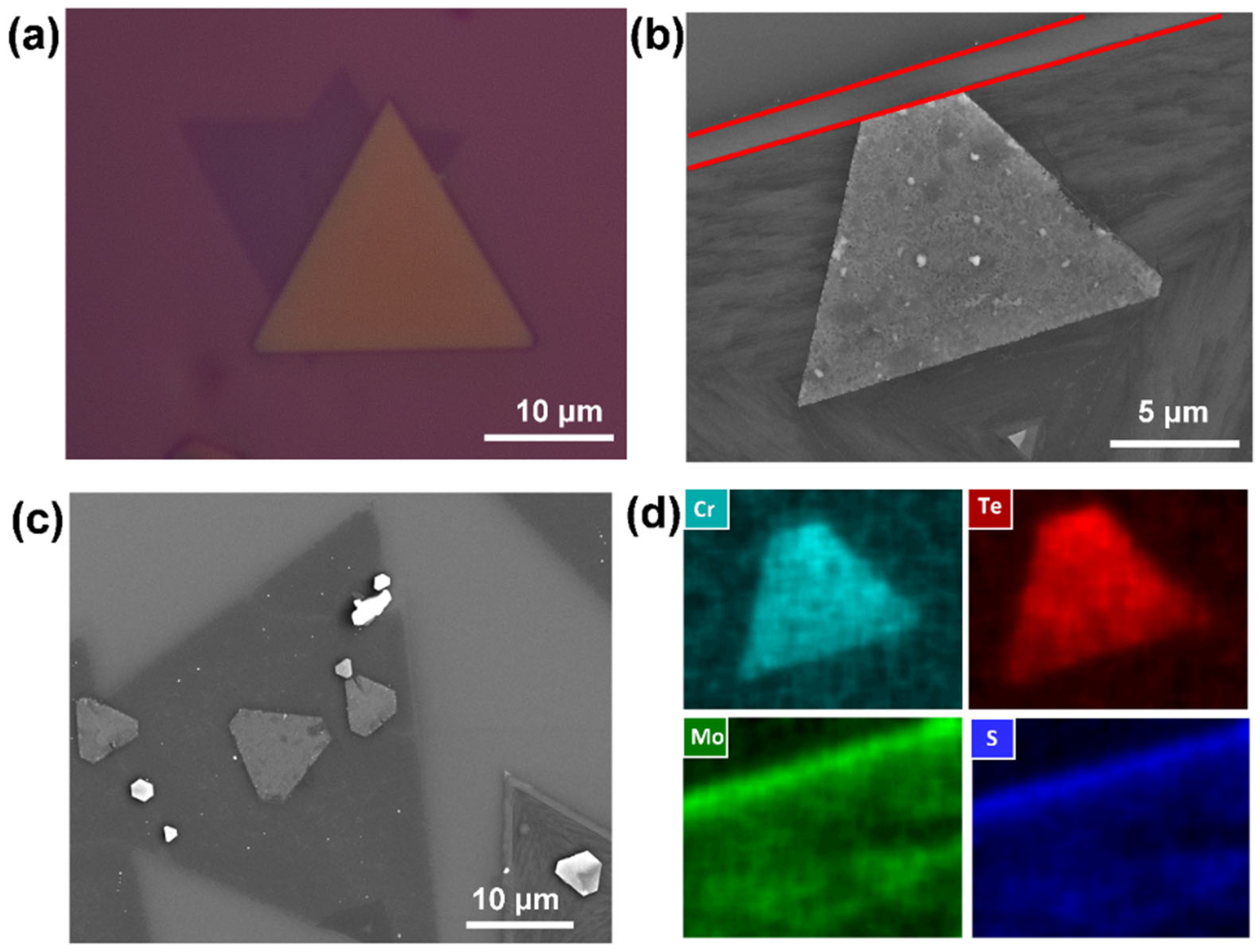 Nanomaterials 14 00868 g009