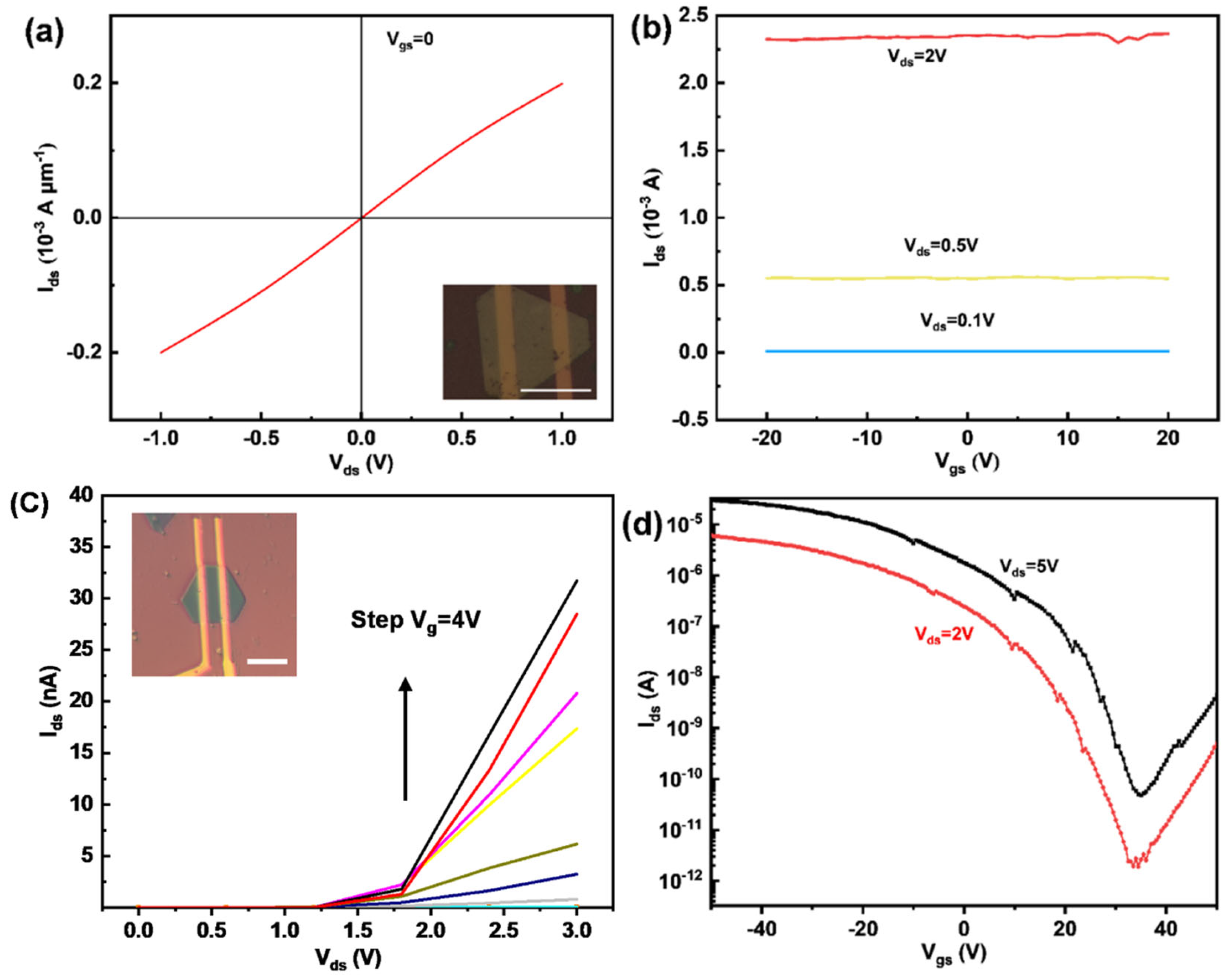 Nanomaterials 14 00868 g012