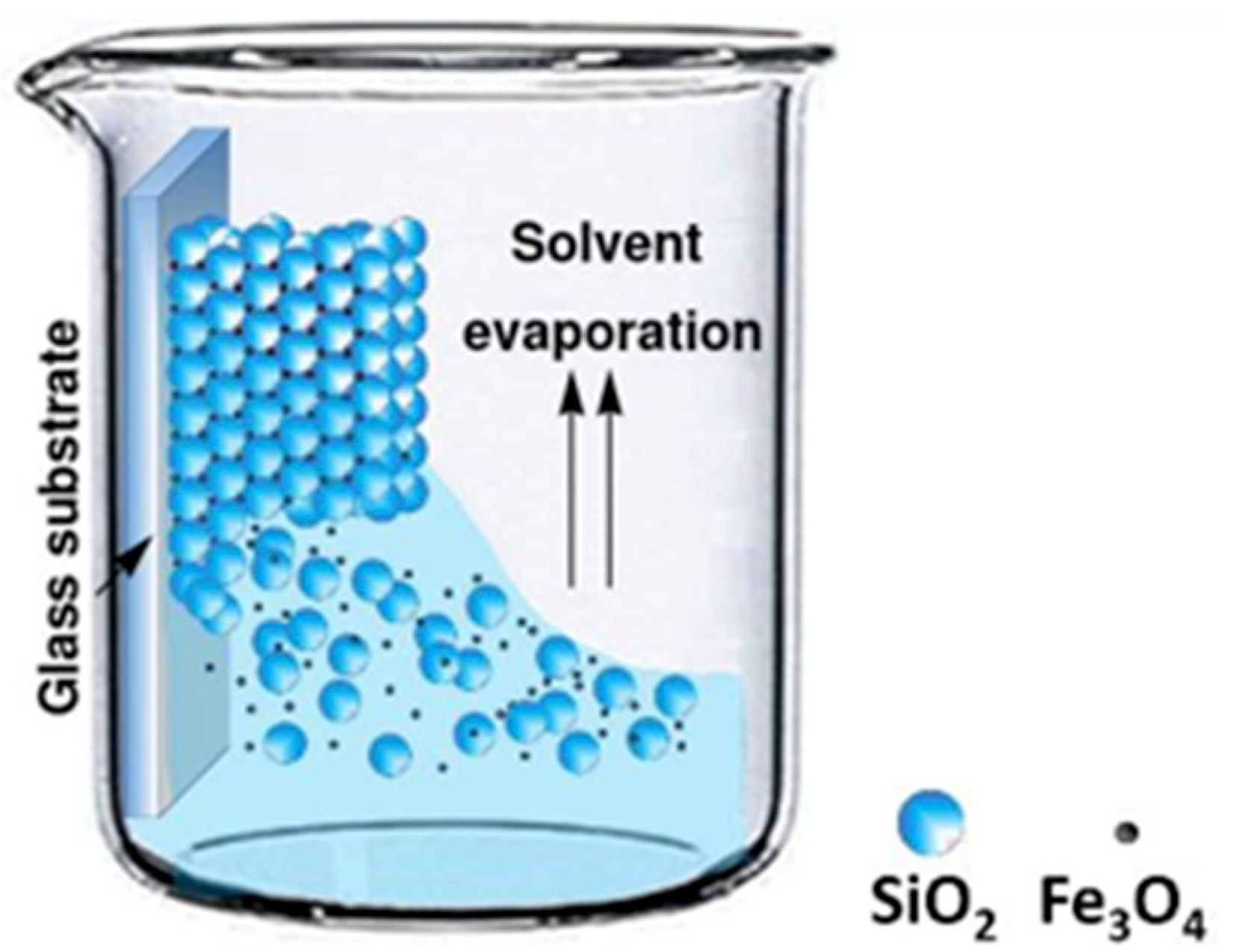 Nanomaterials 14 00874 g001