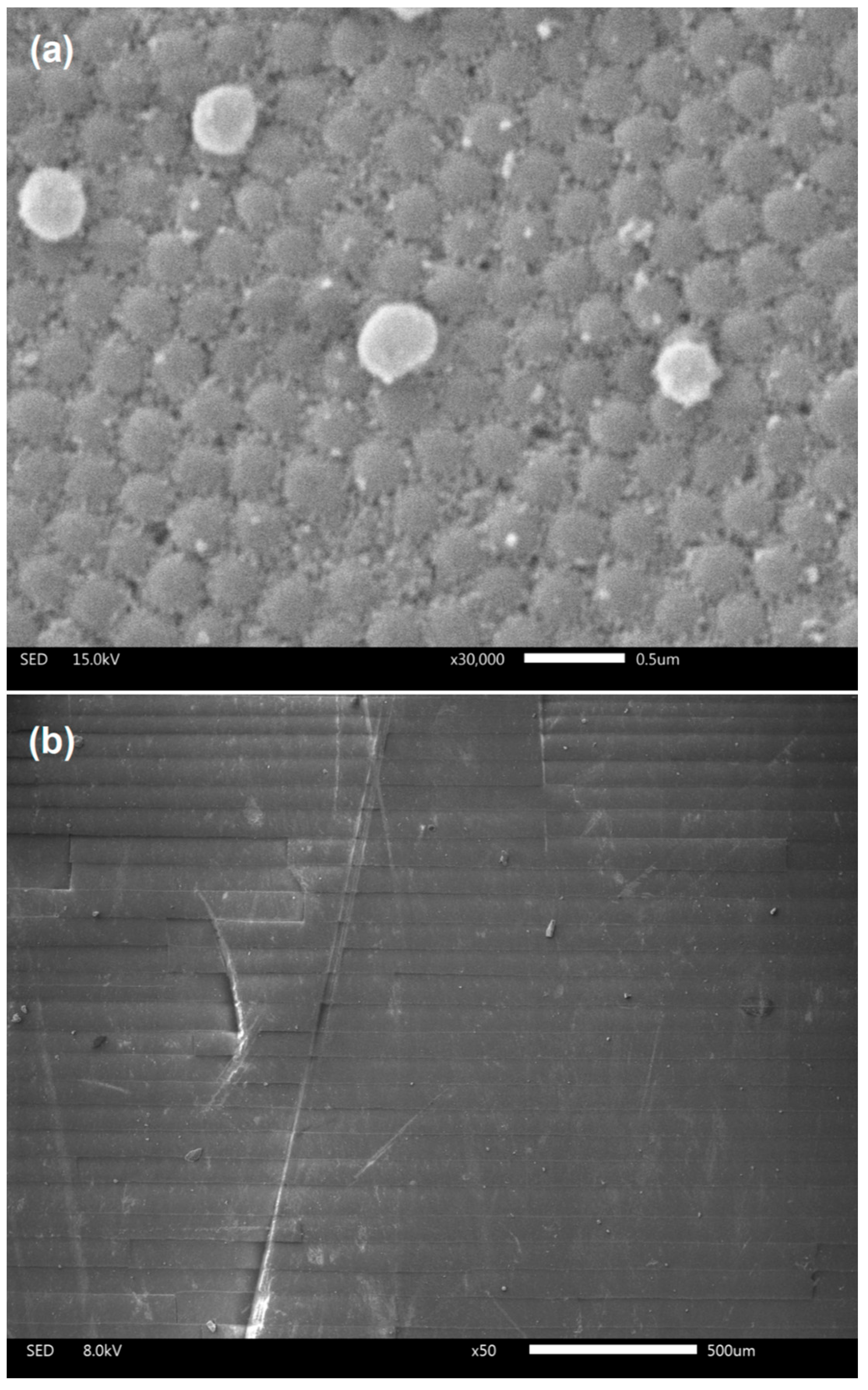 Nanomaterials 14 00874 g002