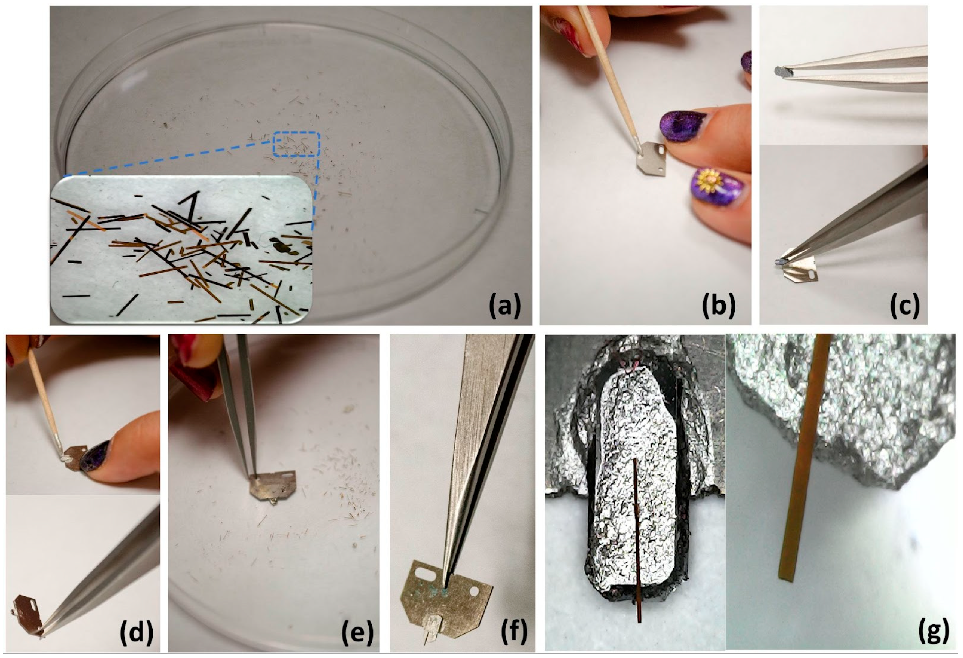 Nanomaterials 14 00874 g003