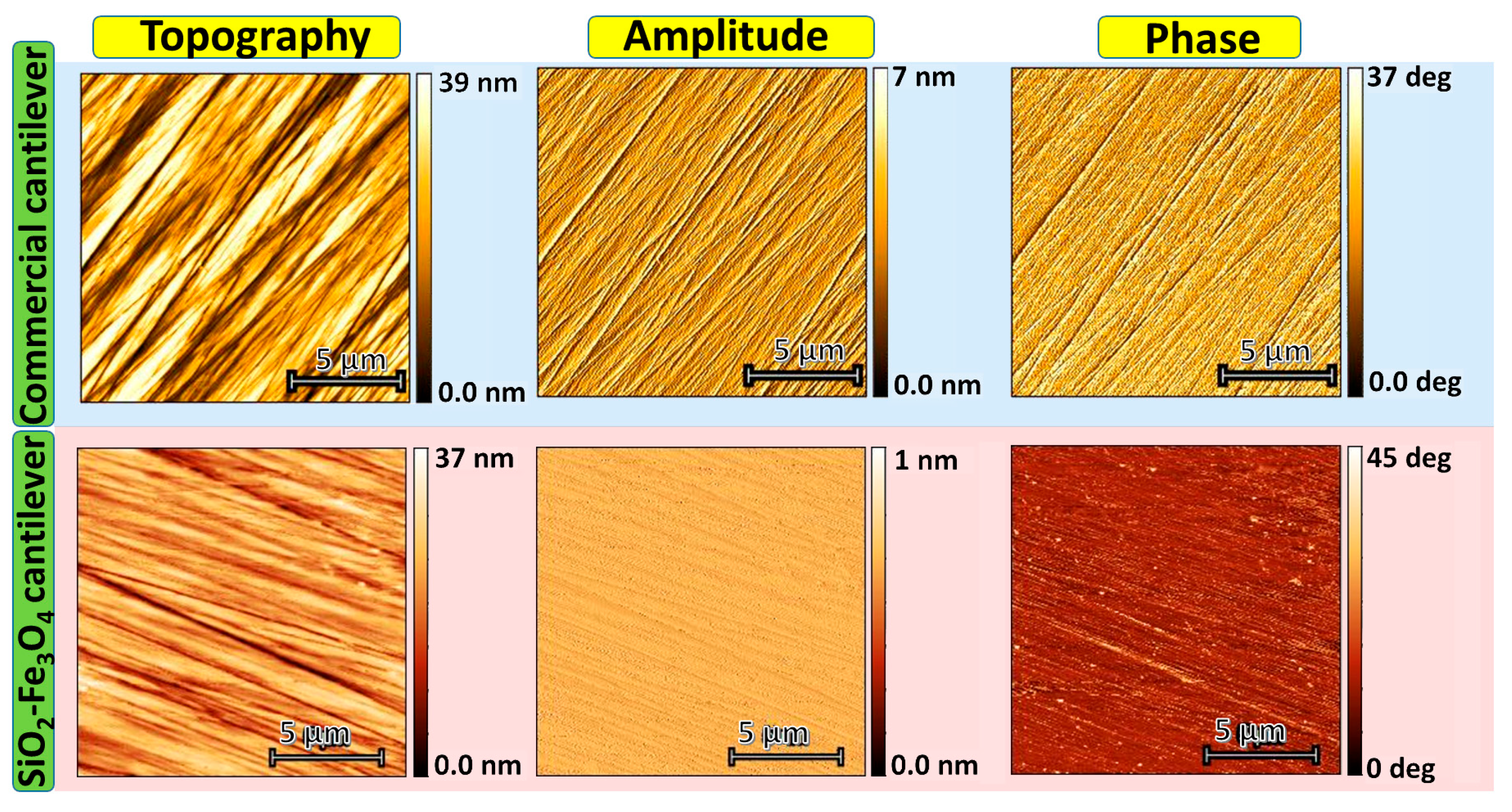 Nanomaterials 14 00874 g006