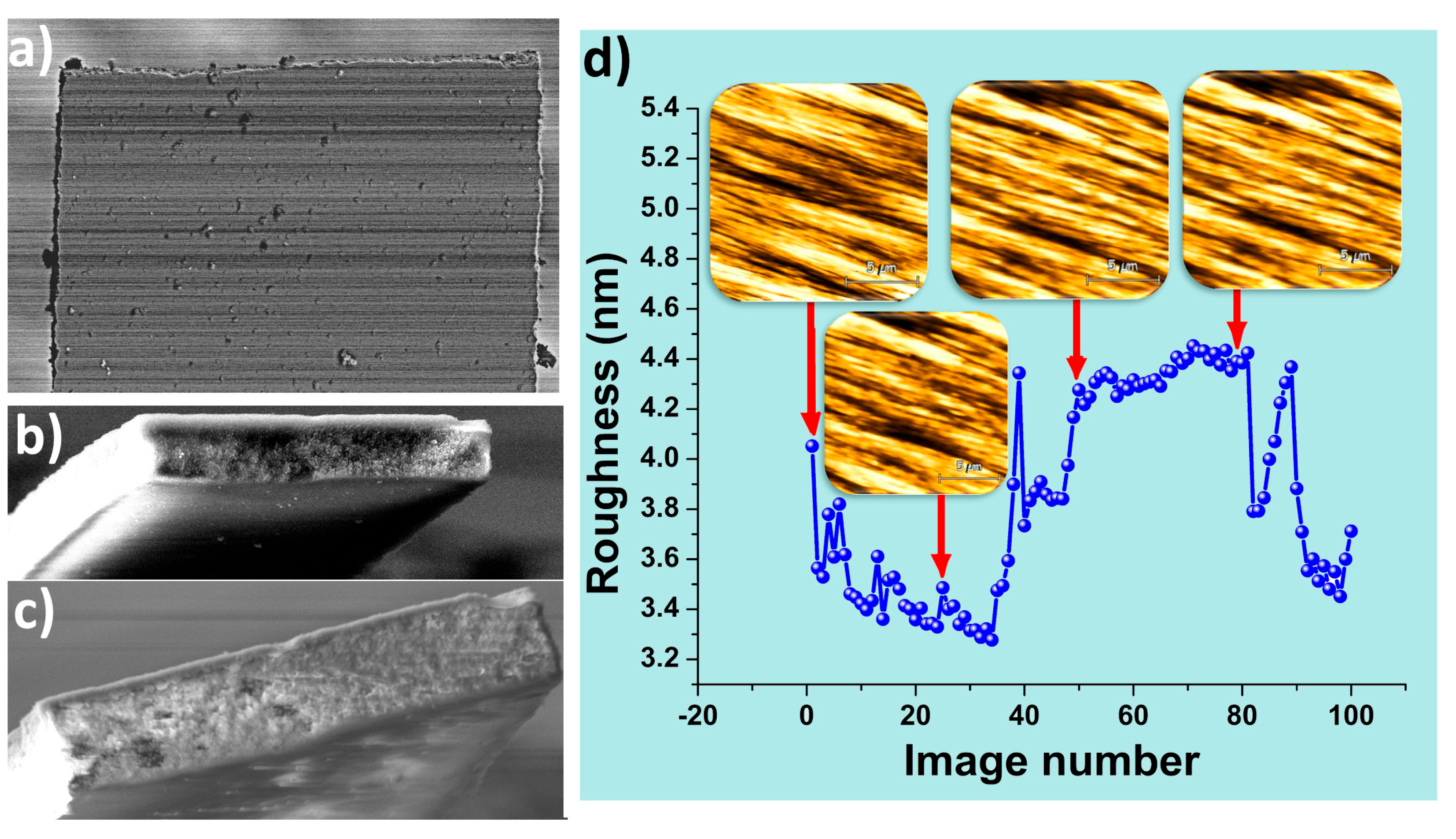 Nanomaterials 14 00874 g008
