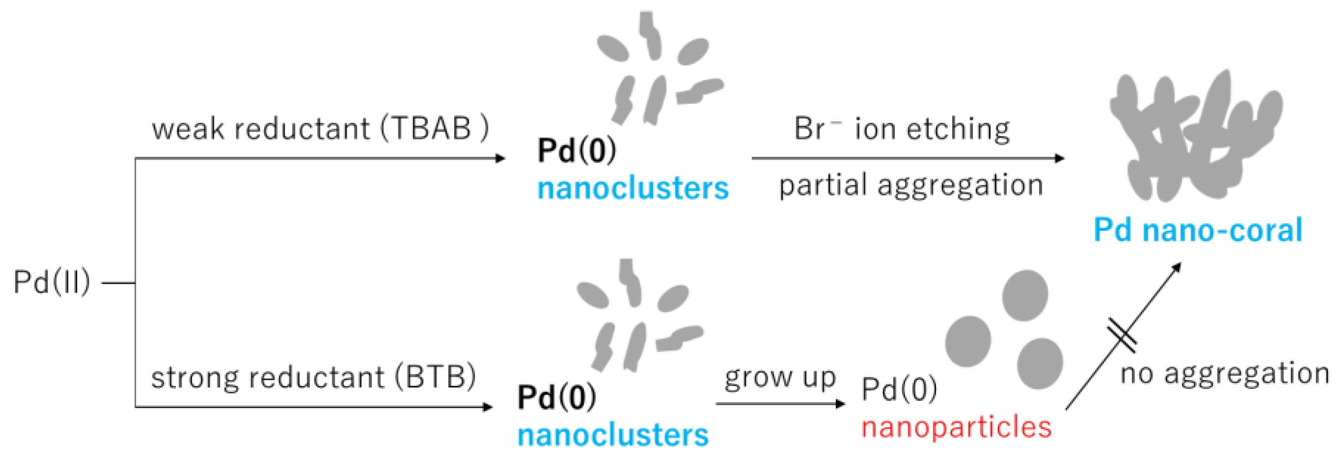 Nanomaterials 14 00876 sch001