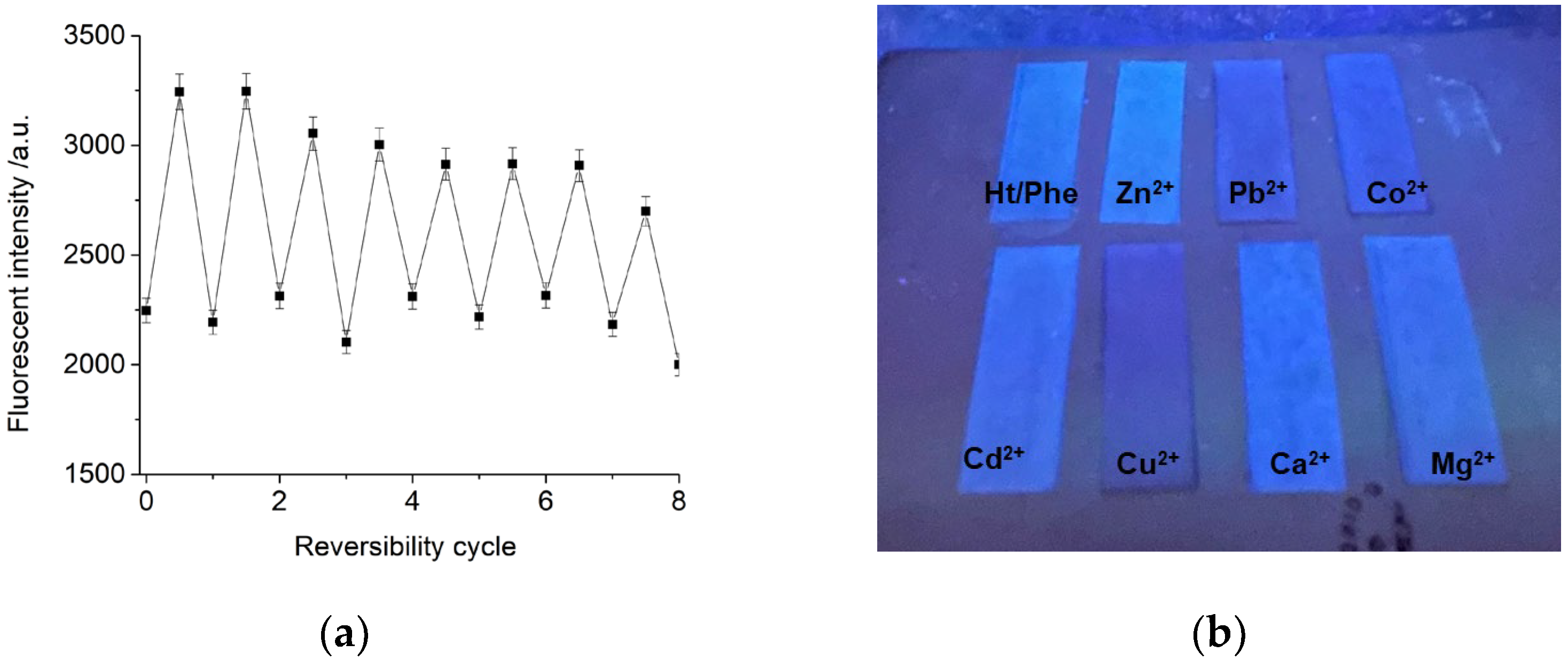 Nanomaterials 14 00880 g005