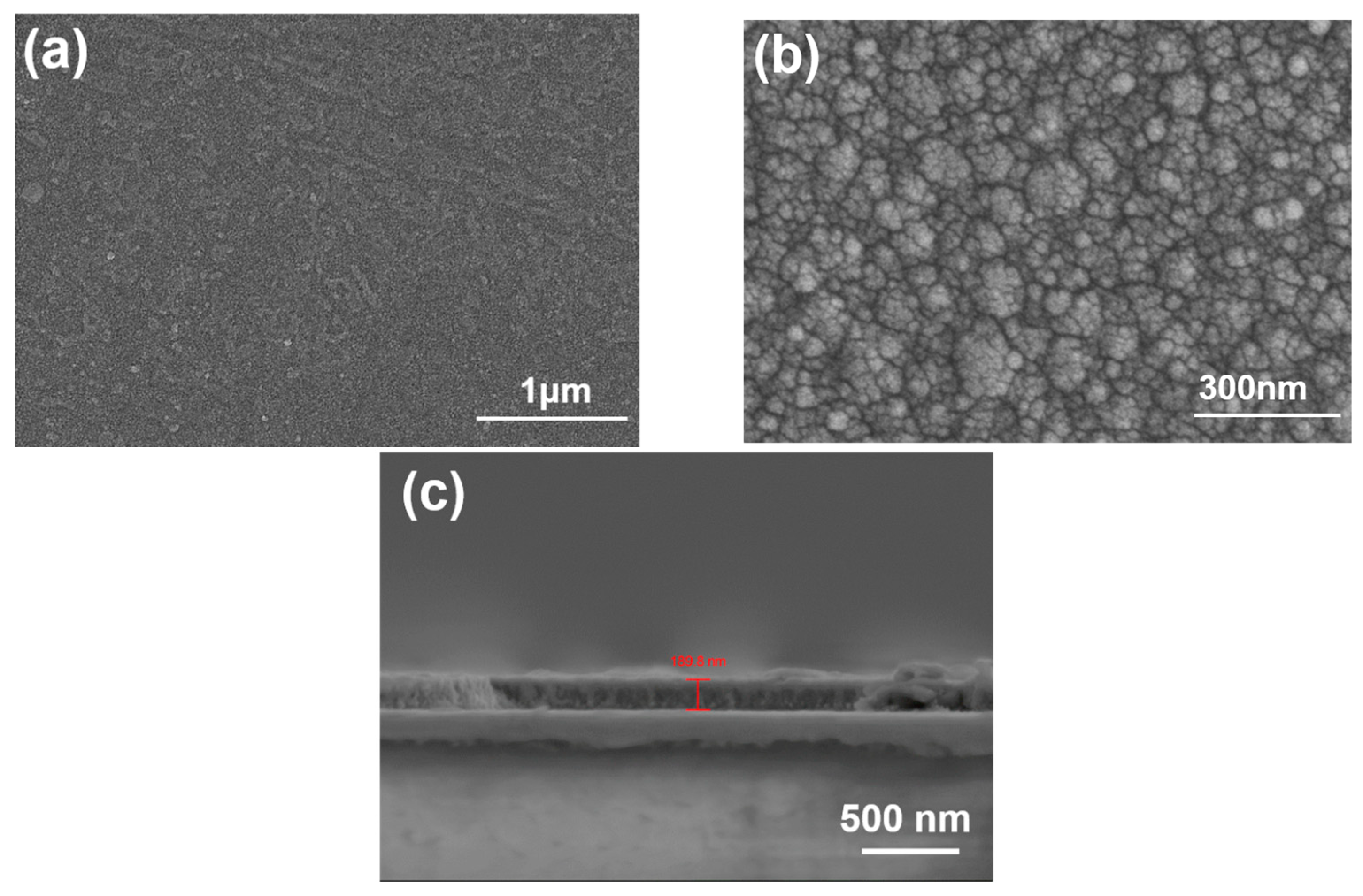 Nanomaterials 14 00881 g003