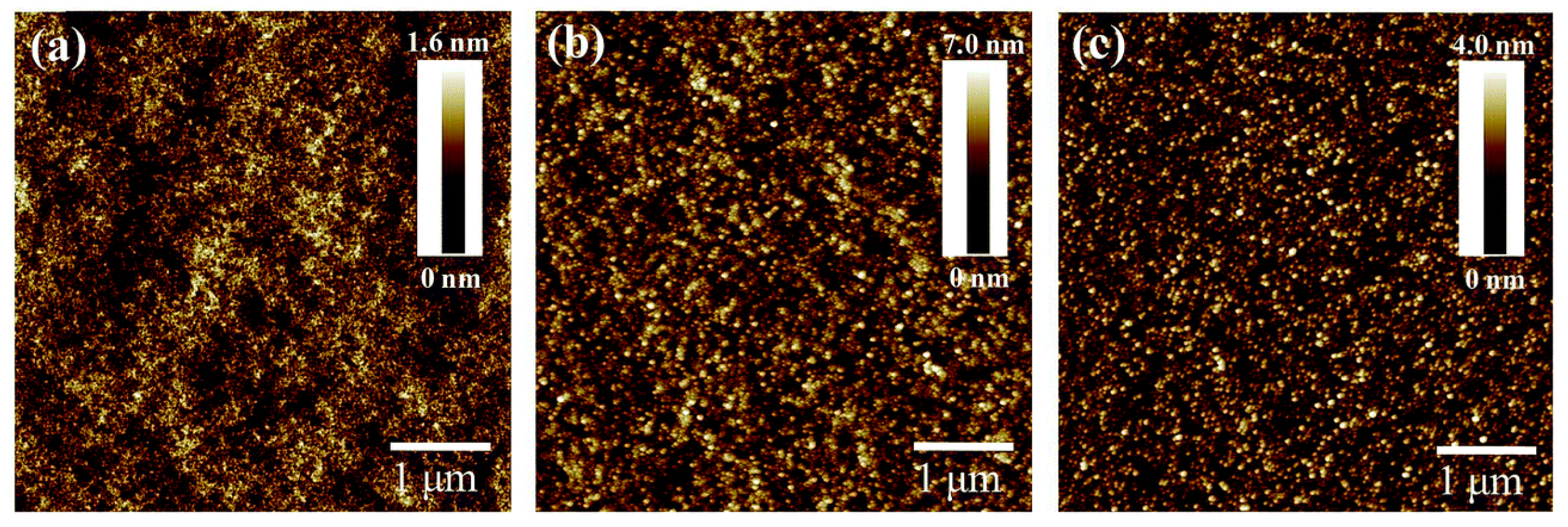 Nanomaterials 14 00886 g002