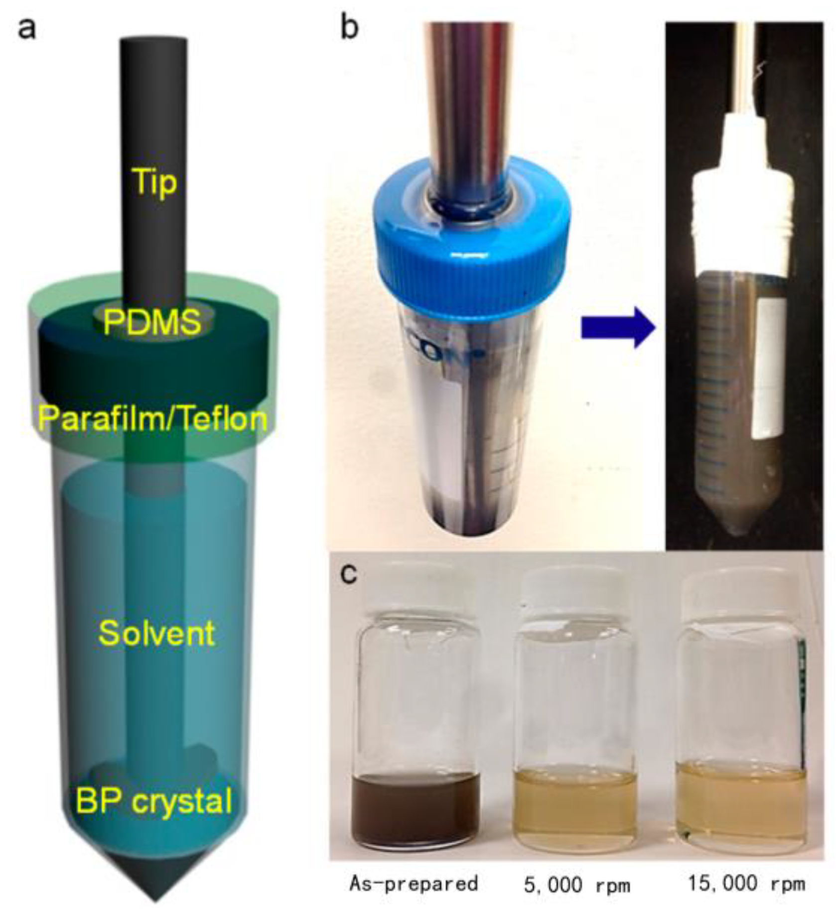 Nanomaterials 14 00892 g005