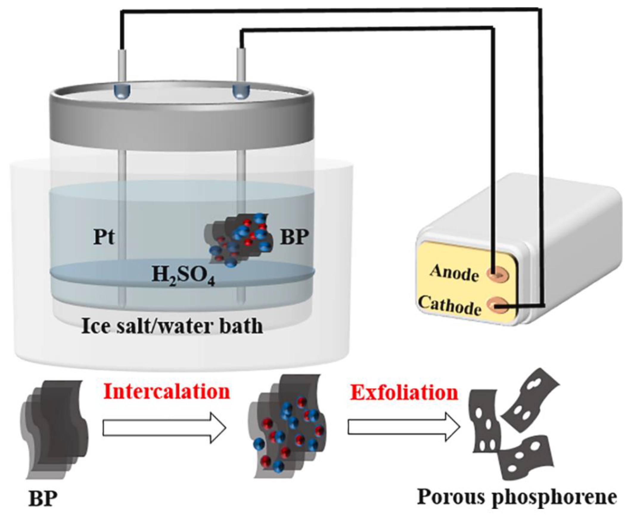 Nanomaterials 14 00892 g007