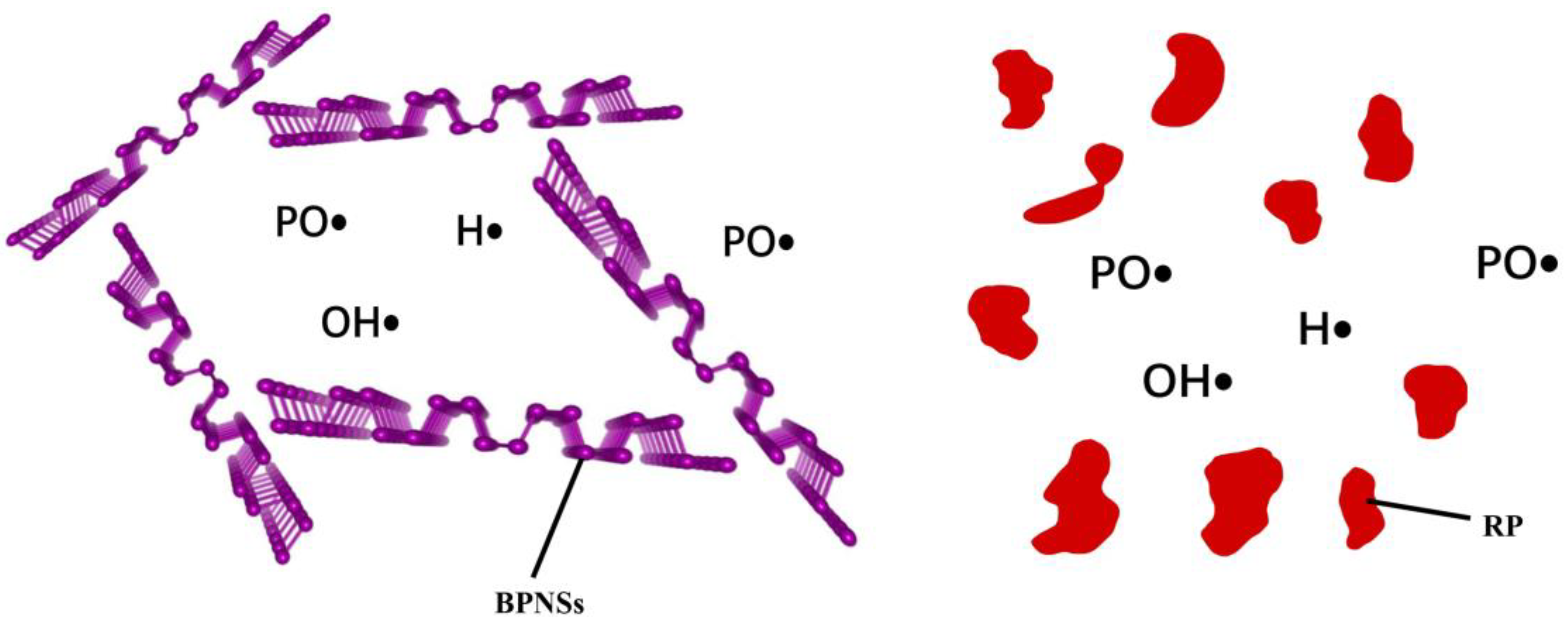 Nanomaterials 14 00892 g013