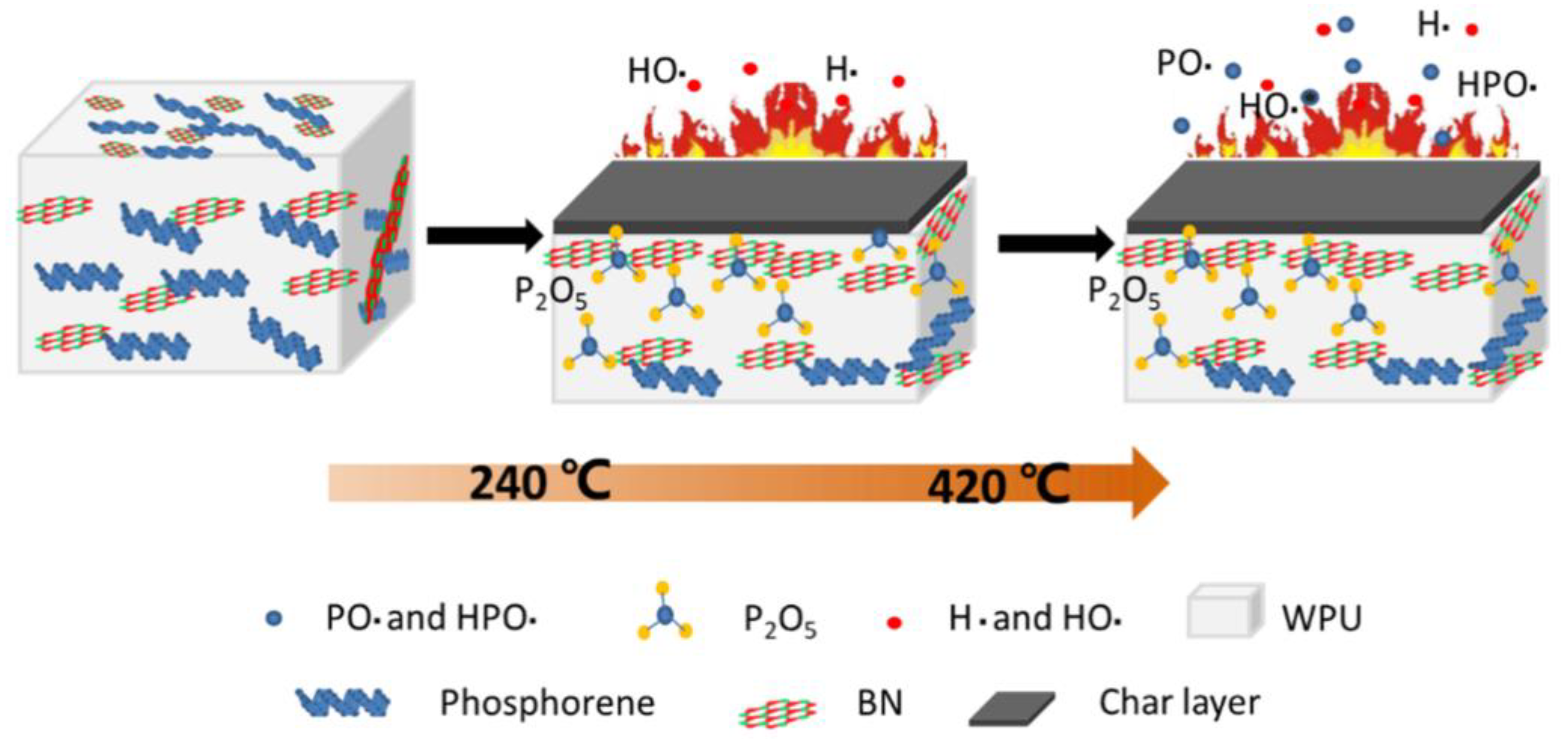 Nanomaterials 14 00892 g017