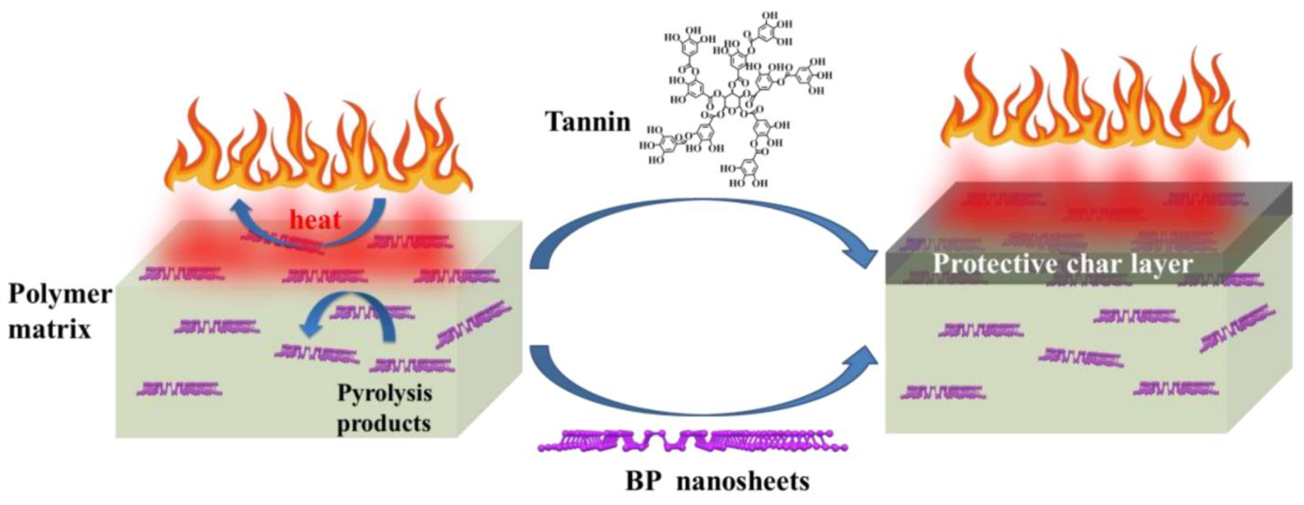 Nanomaterials 14 00892 g018