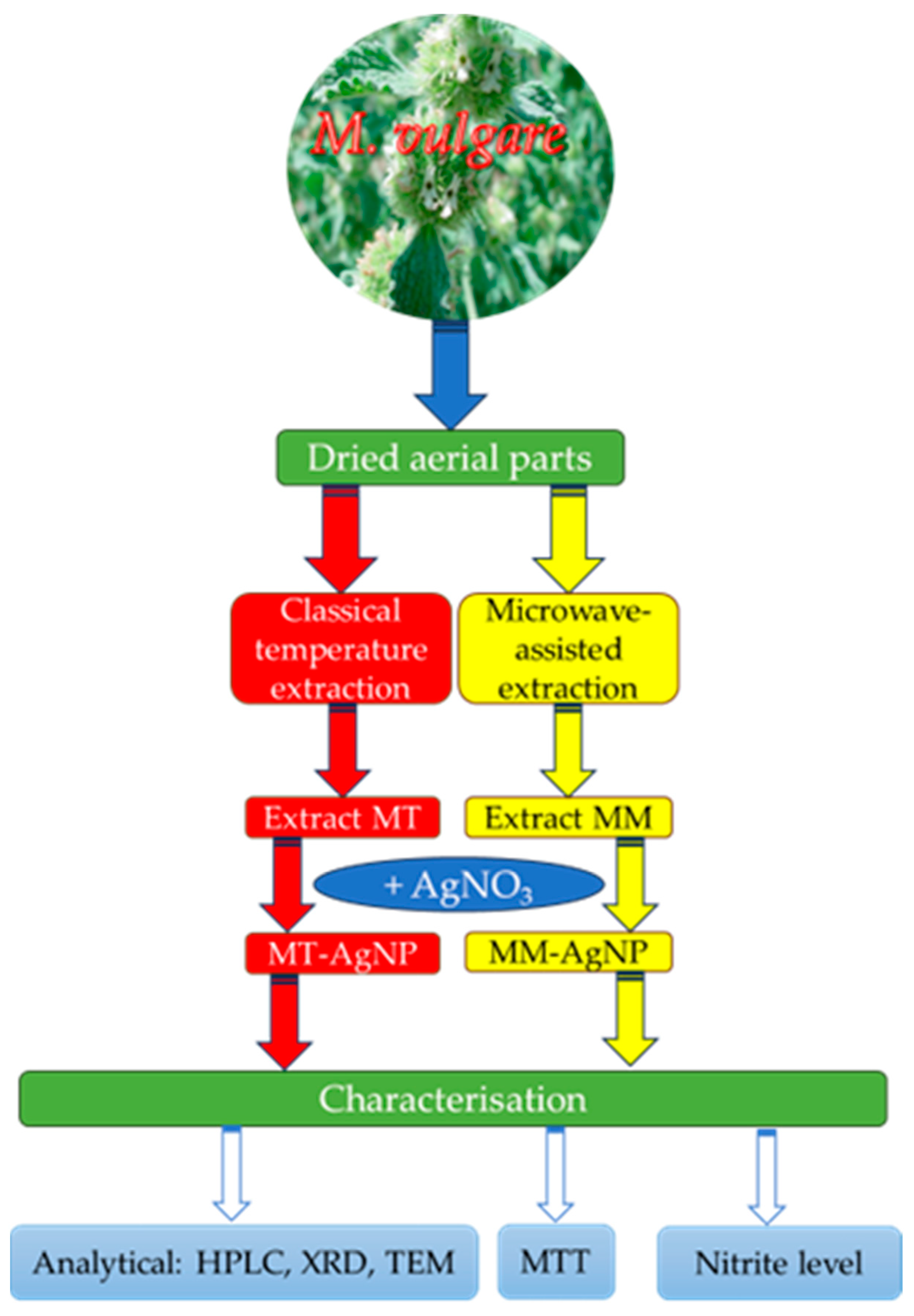 Nanomaterials 14 00895 g001