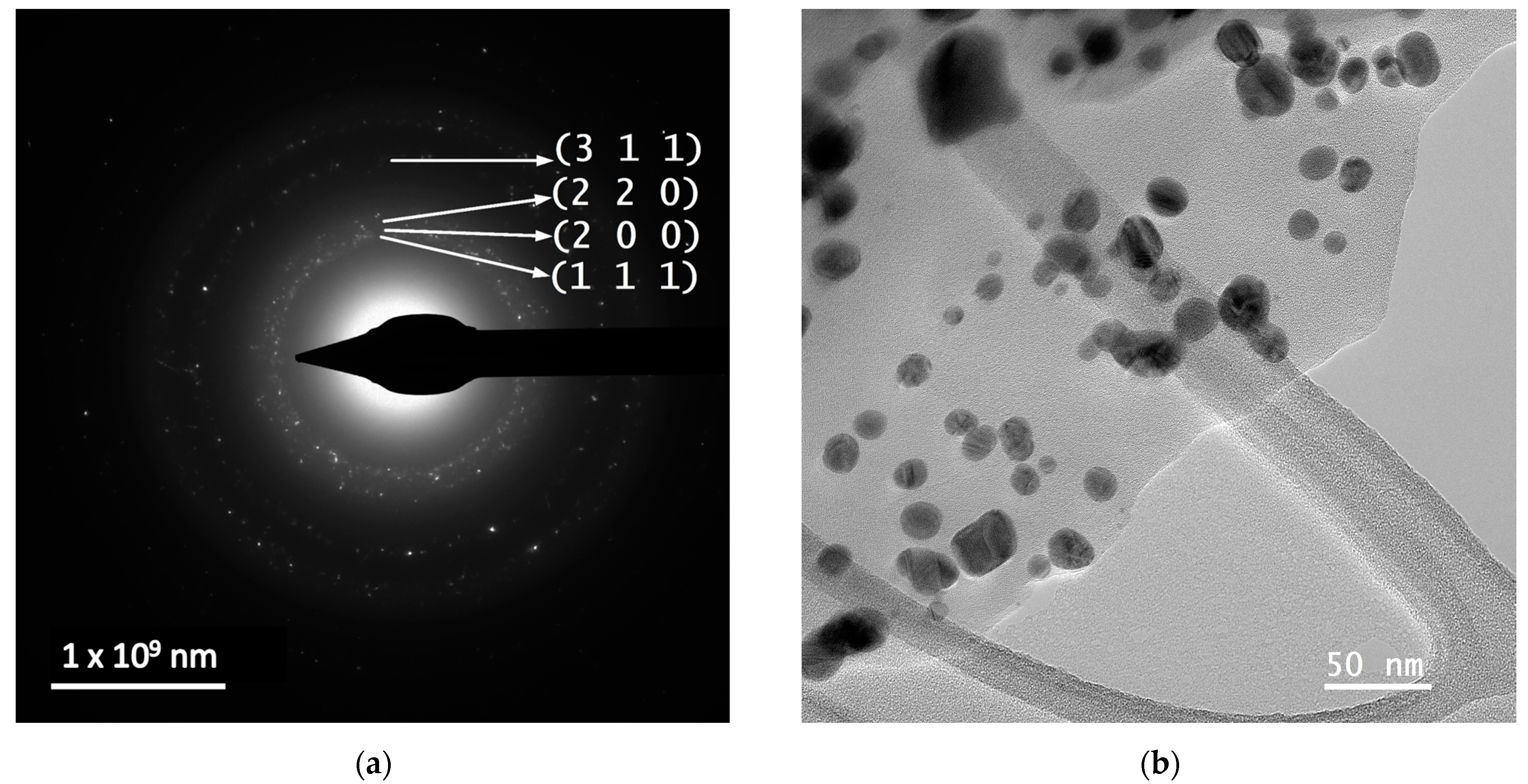 Nanomaterials 14 00895 g004a