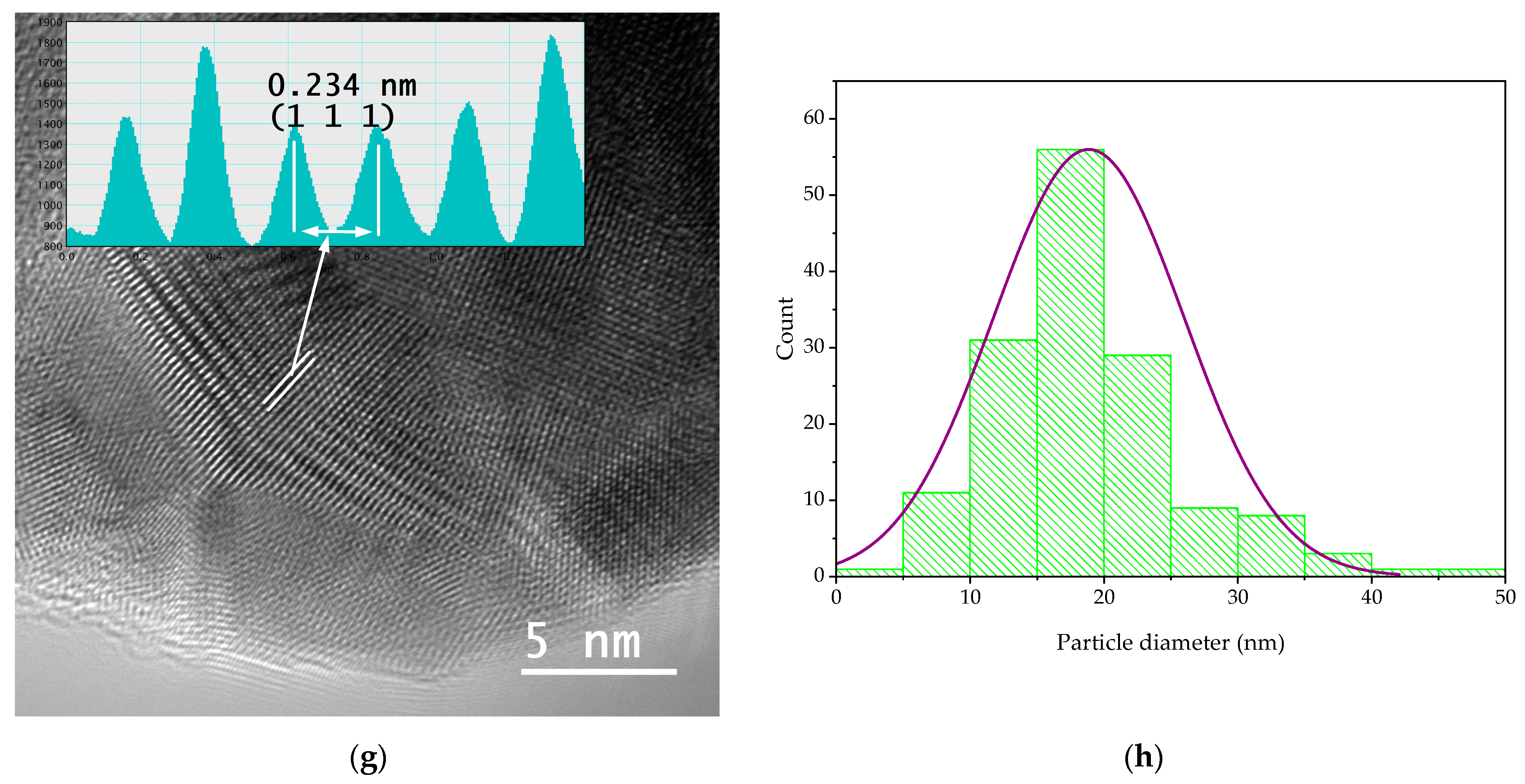 Nanomaterials 14 00895 g004c
