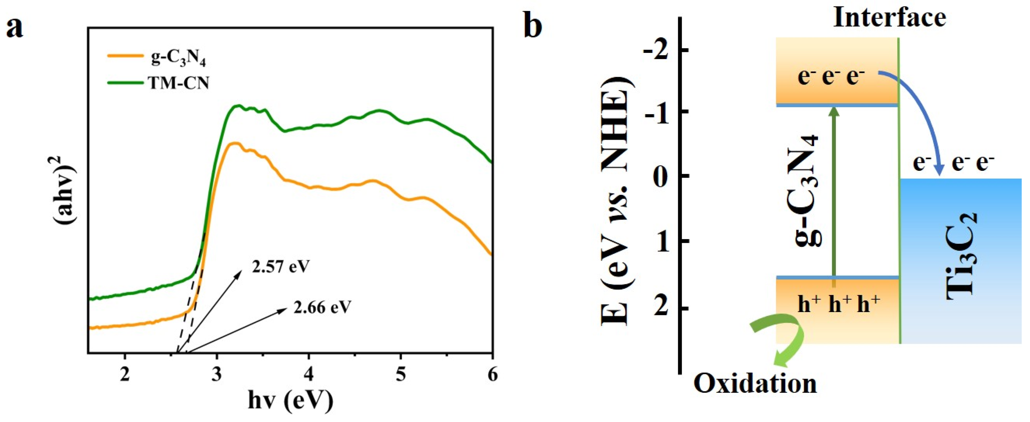 Nanomaterials 14 00896 g011