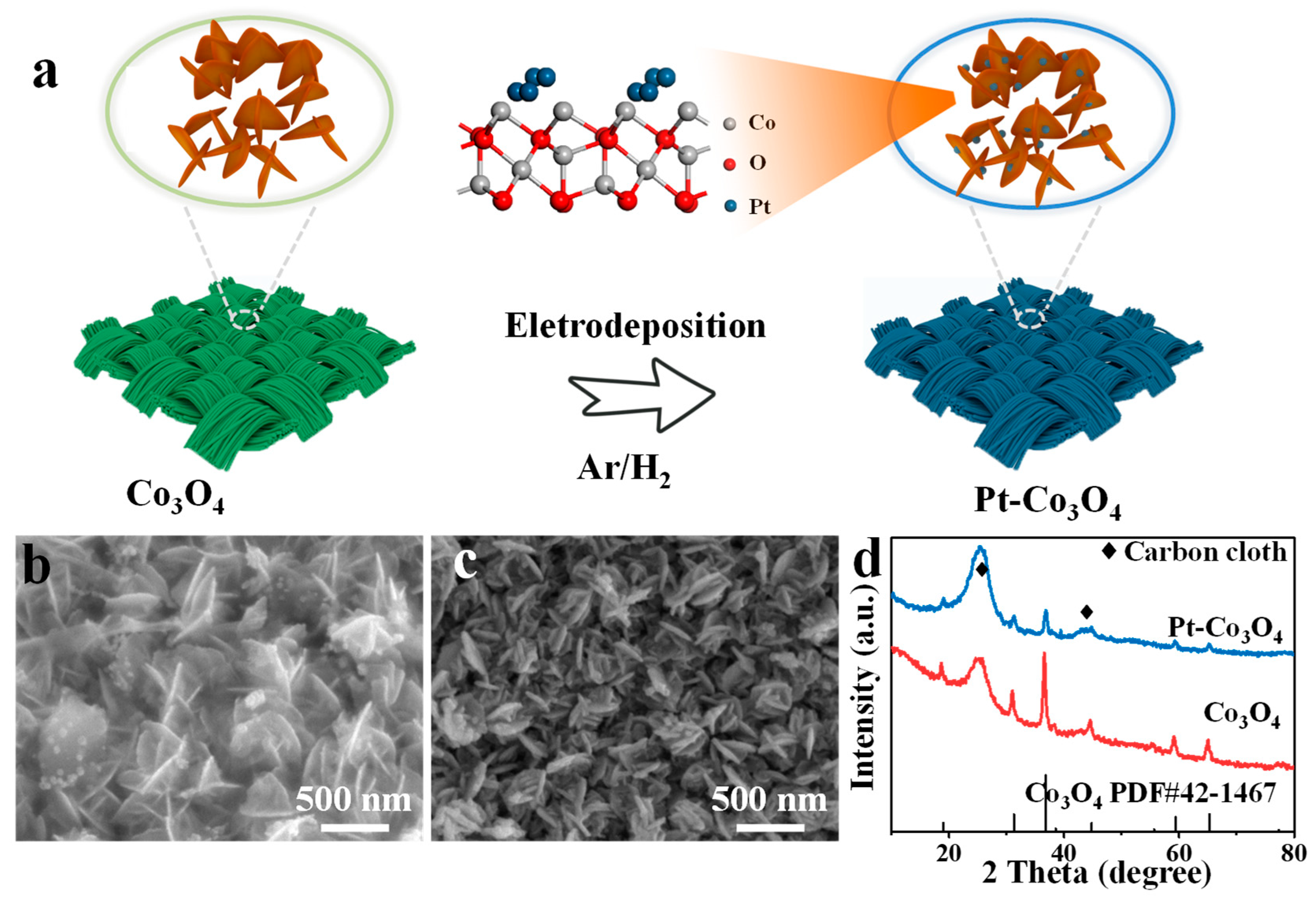 Nanomaterials 14 00898 g001