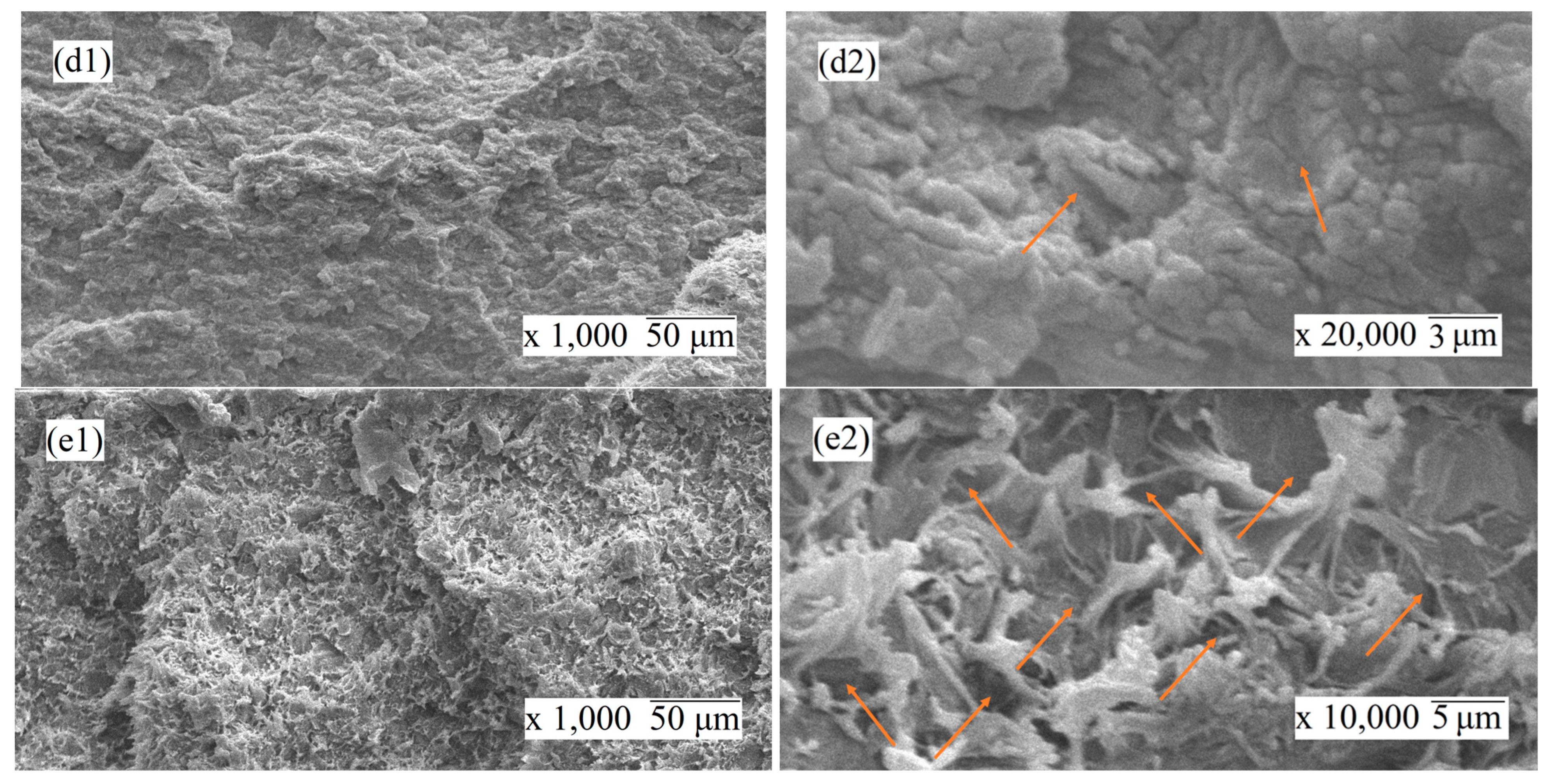 Nanomaterials 14 00901 g005b