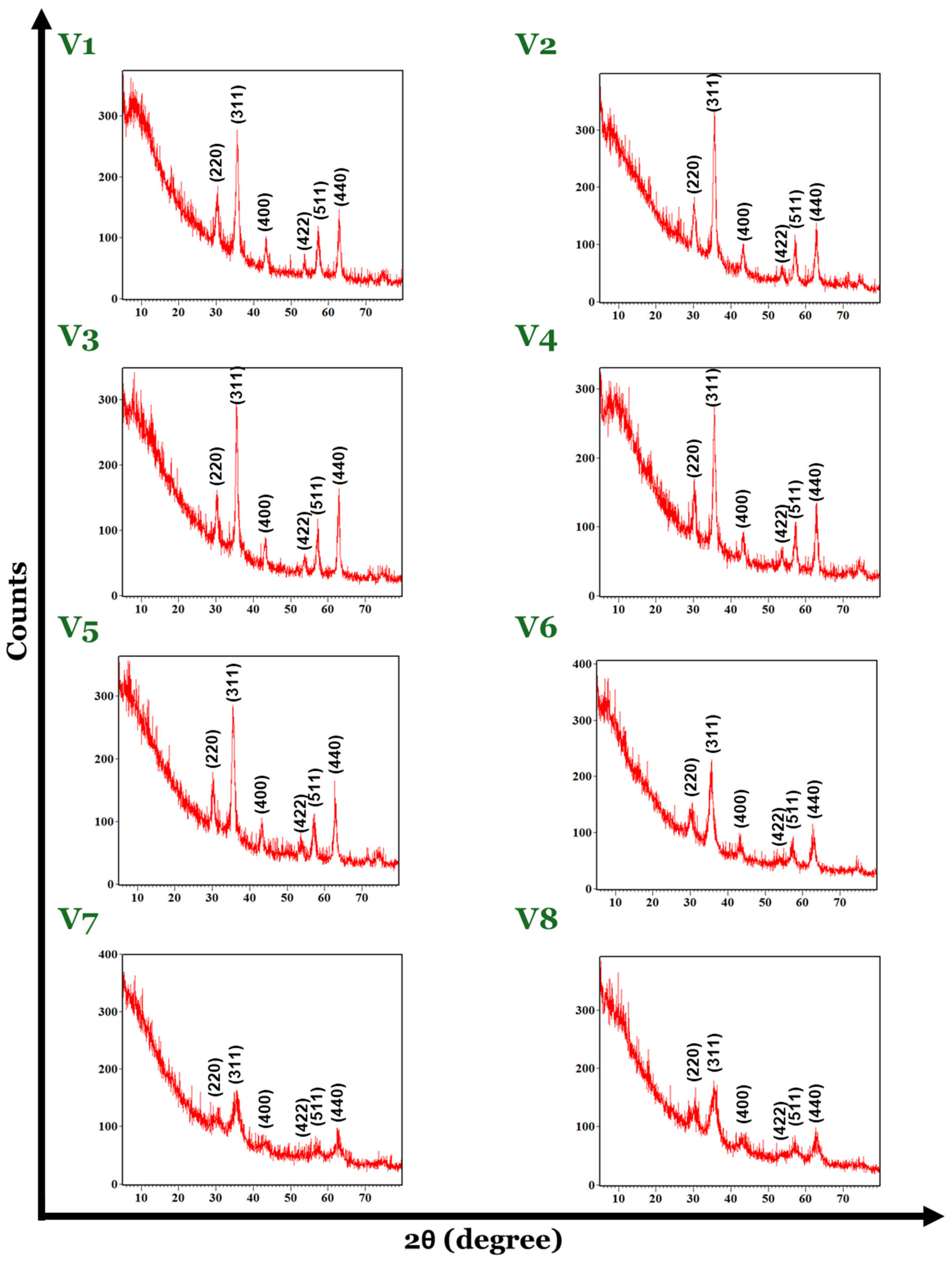 Nanomaterials 14 00902 g002