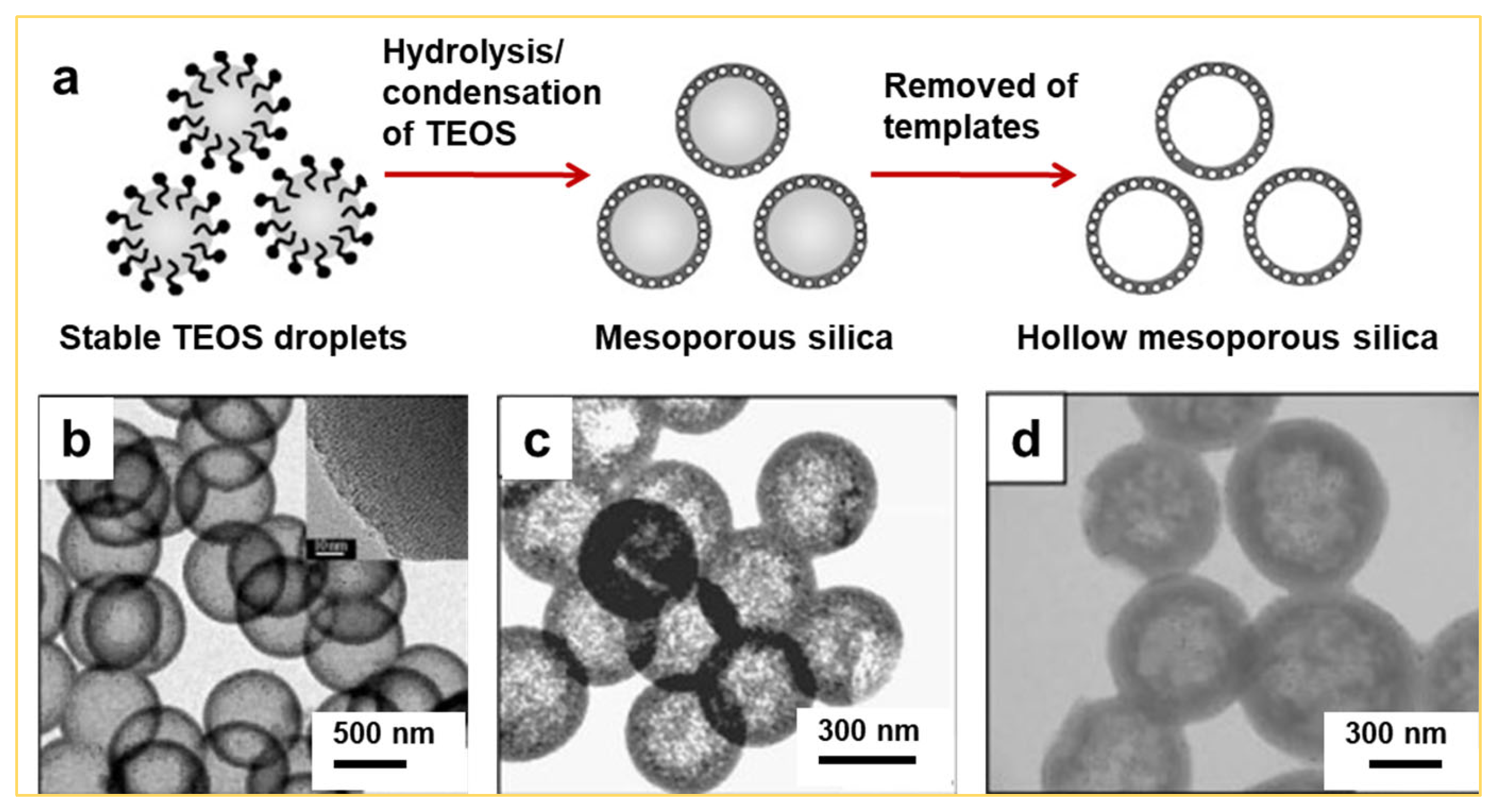 Synthesis of Mesoporous Silica Using the Sol–Gel Approach