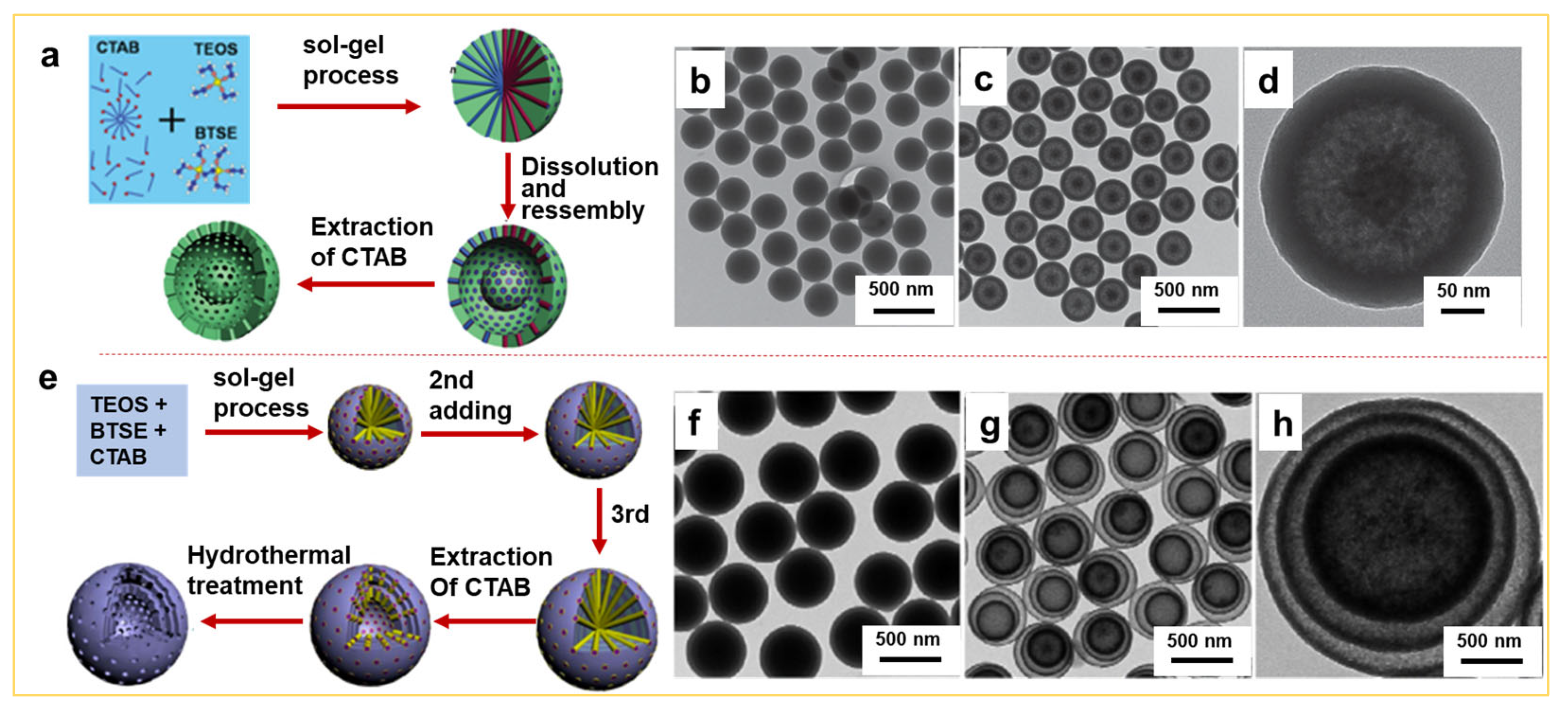 Nanomaterials 14 00903 g002