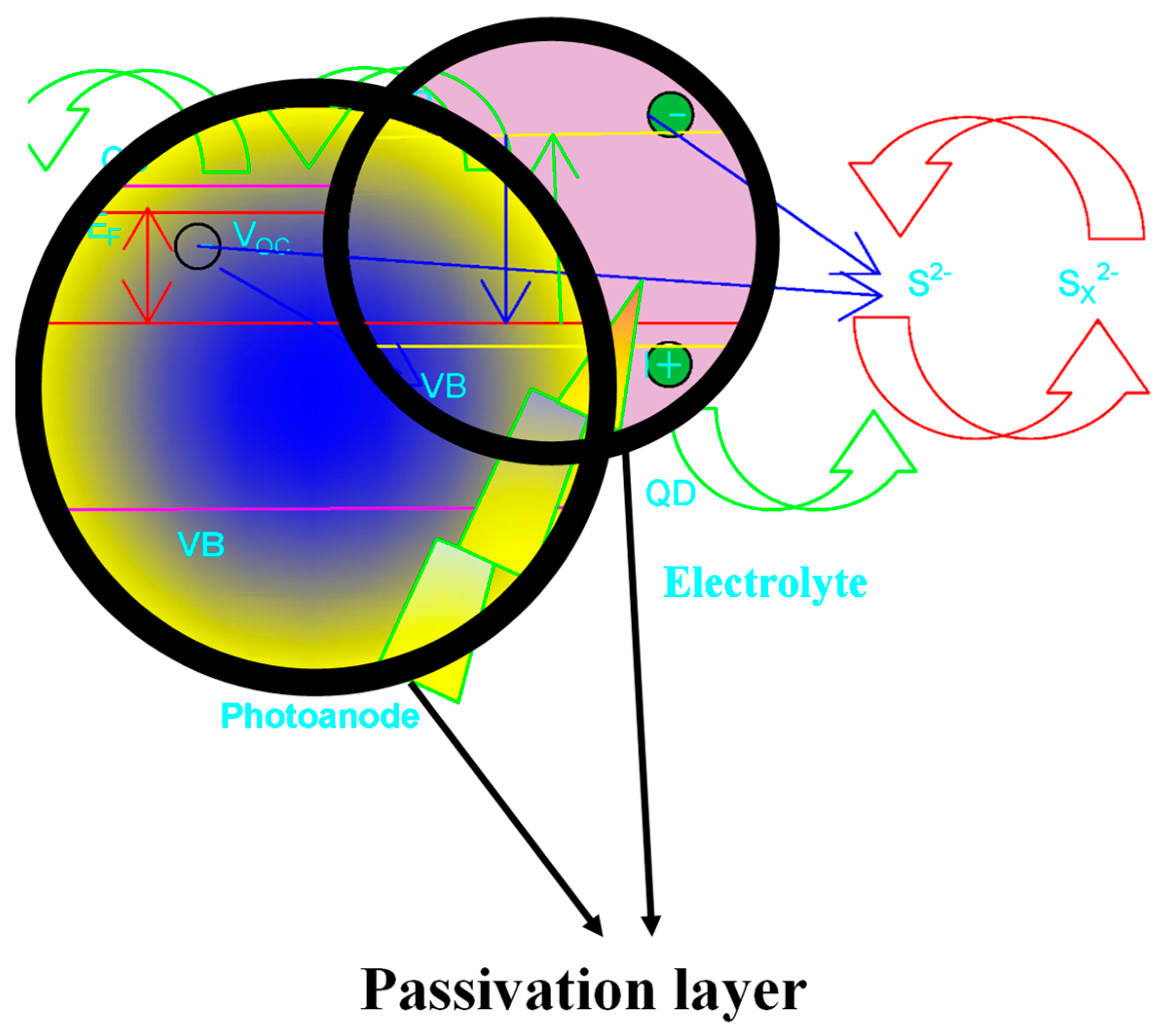 Nanomaterials 14 00905 g001