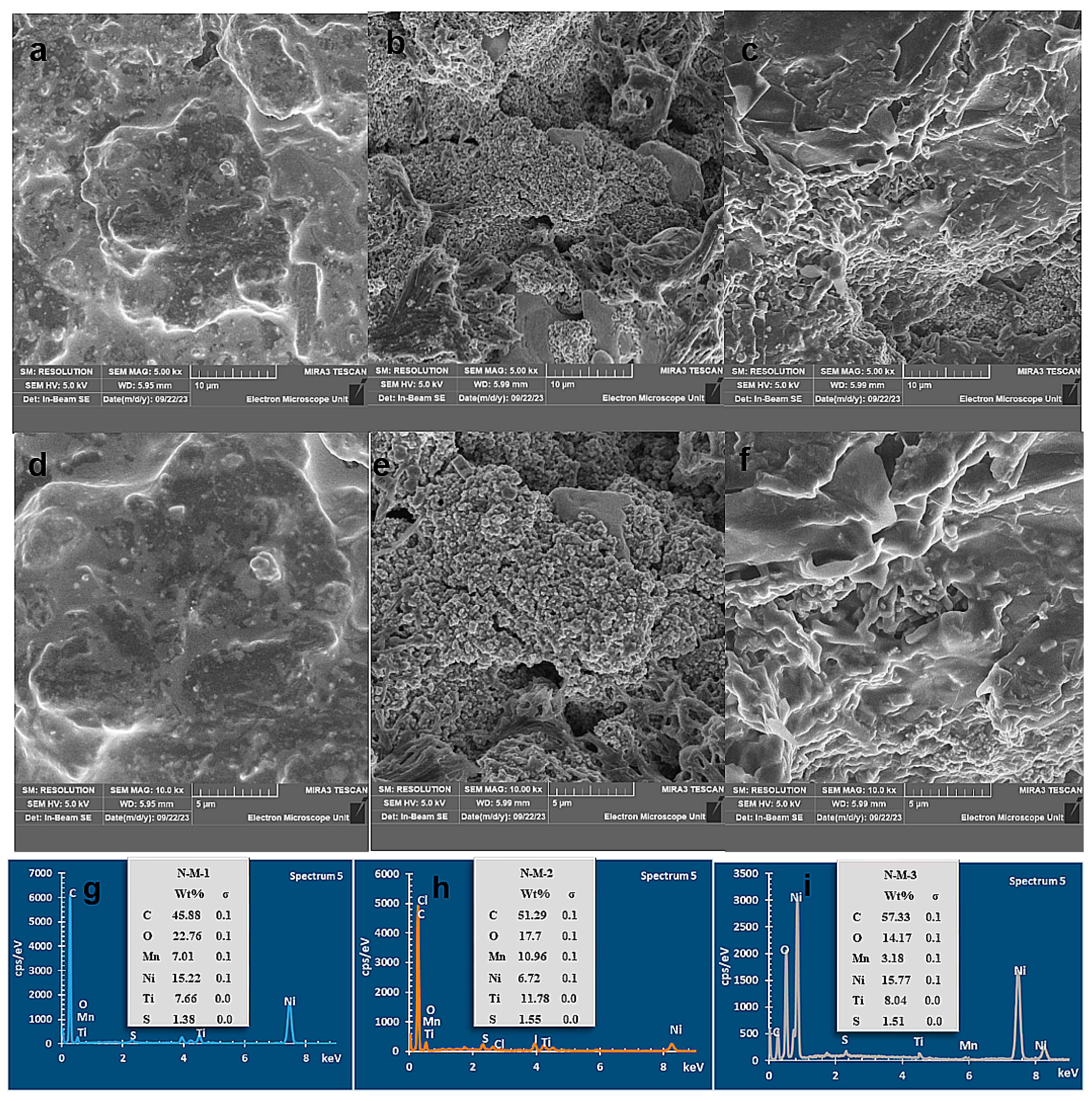 Nanomaterials 14 00905 g005