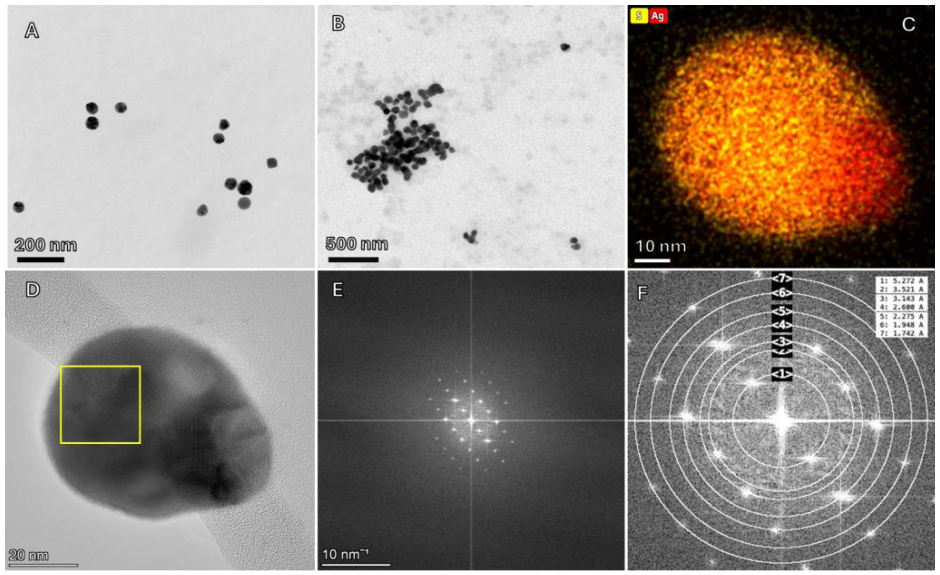 Nanomaterials 14 00913 g001