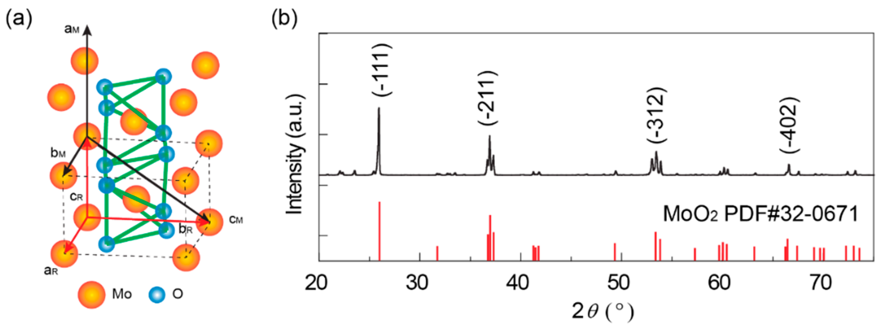 Nanomaterials 14 00915 g001