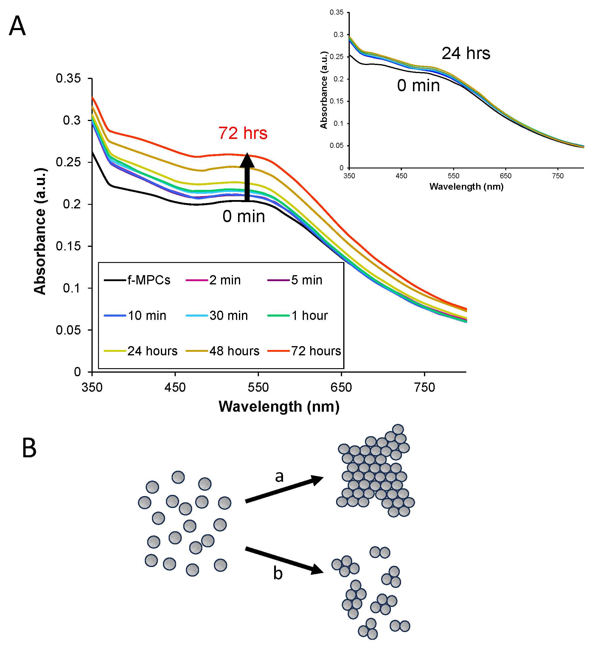 Nanomaterials 14 00917 g005