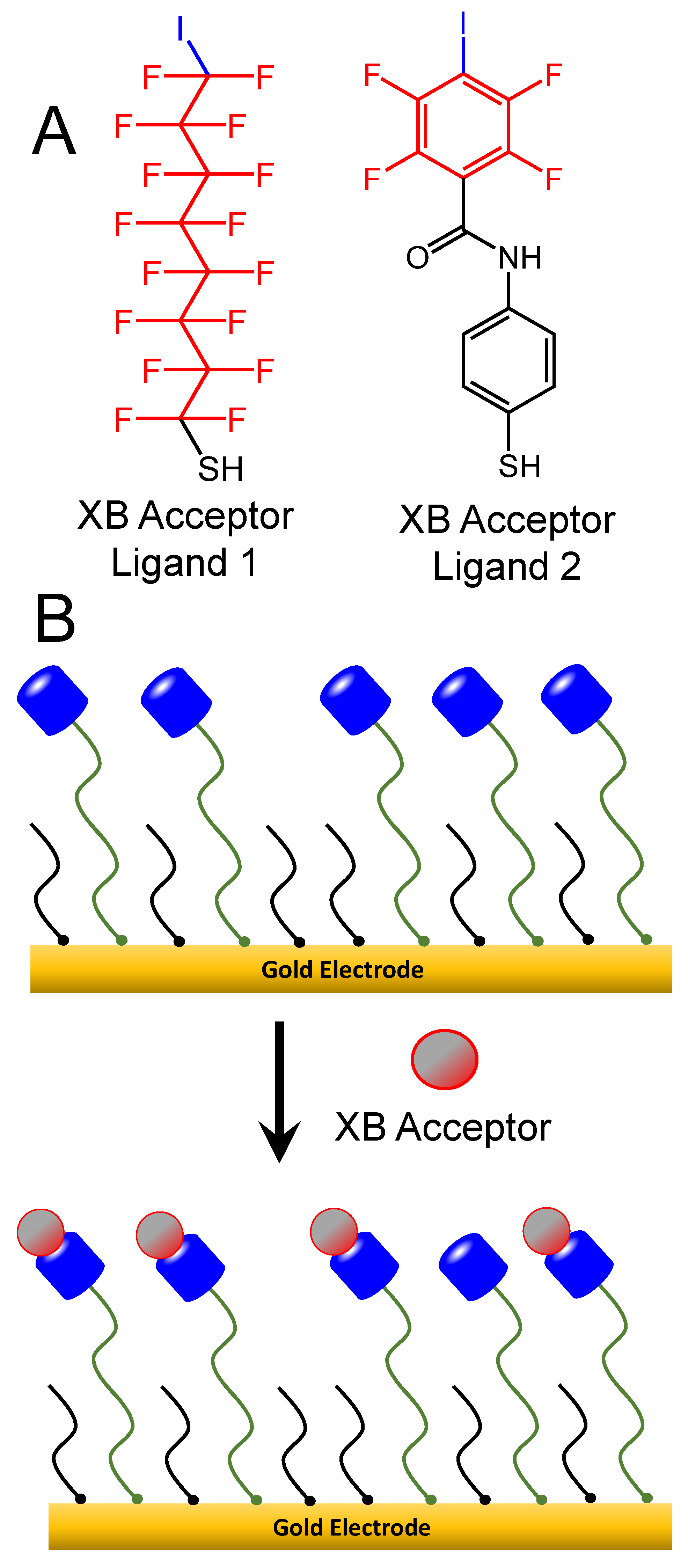 Nanomaterials 14 00917 sch003
