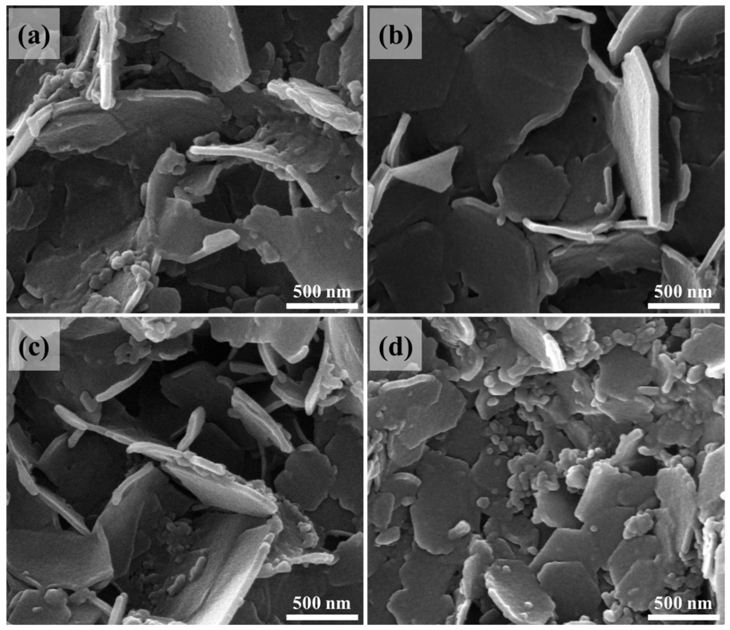 Nanomaterials 14 00920 g003