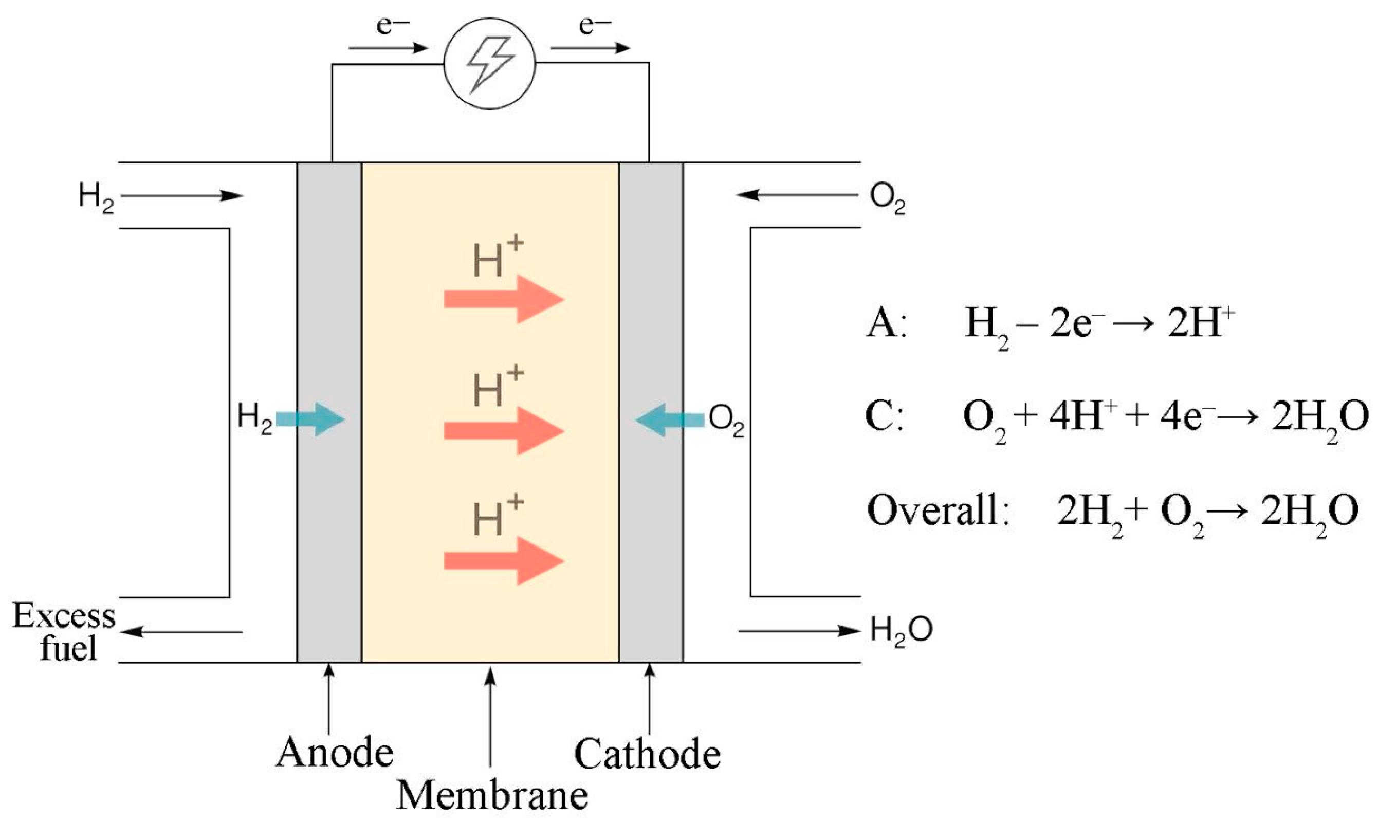 Nanomaterials 14 00922 g001