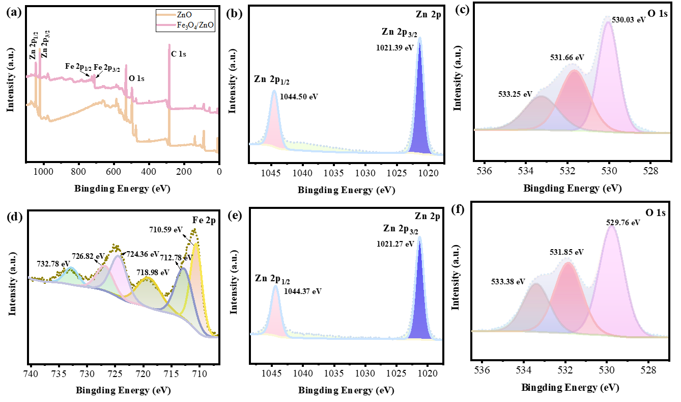 Nanomaterials 14 00926 g006