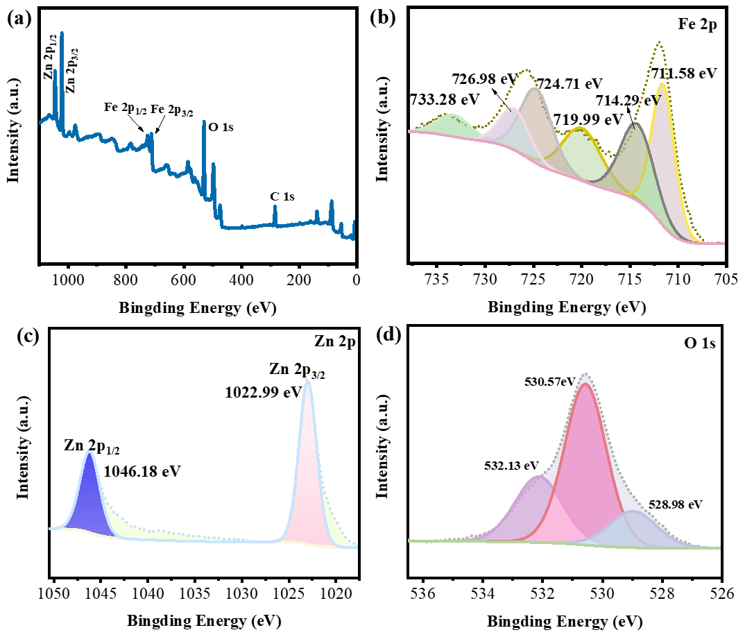 Nanomaterials 14 00926 g010